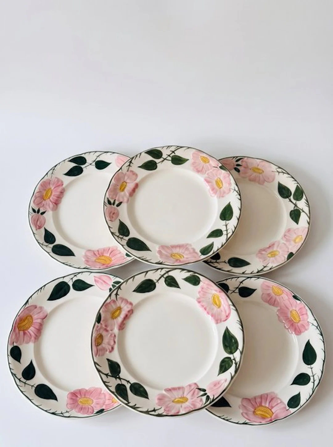 Villeroy & Boch - Dish (6) - wild-Rose - Porcelain