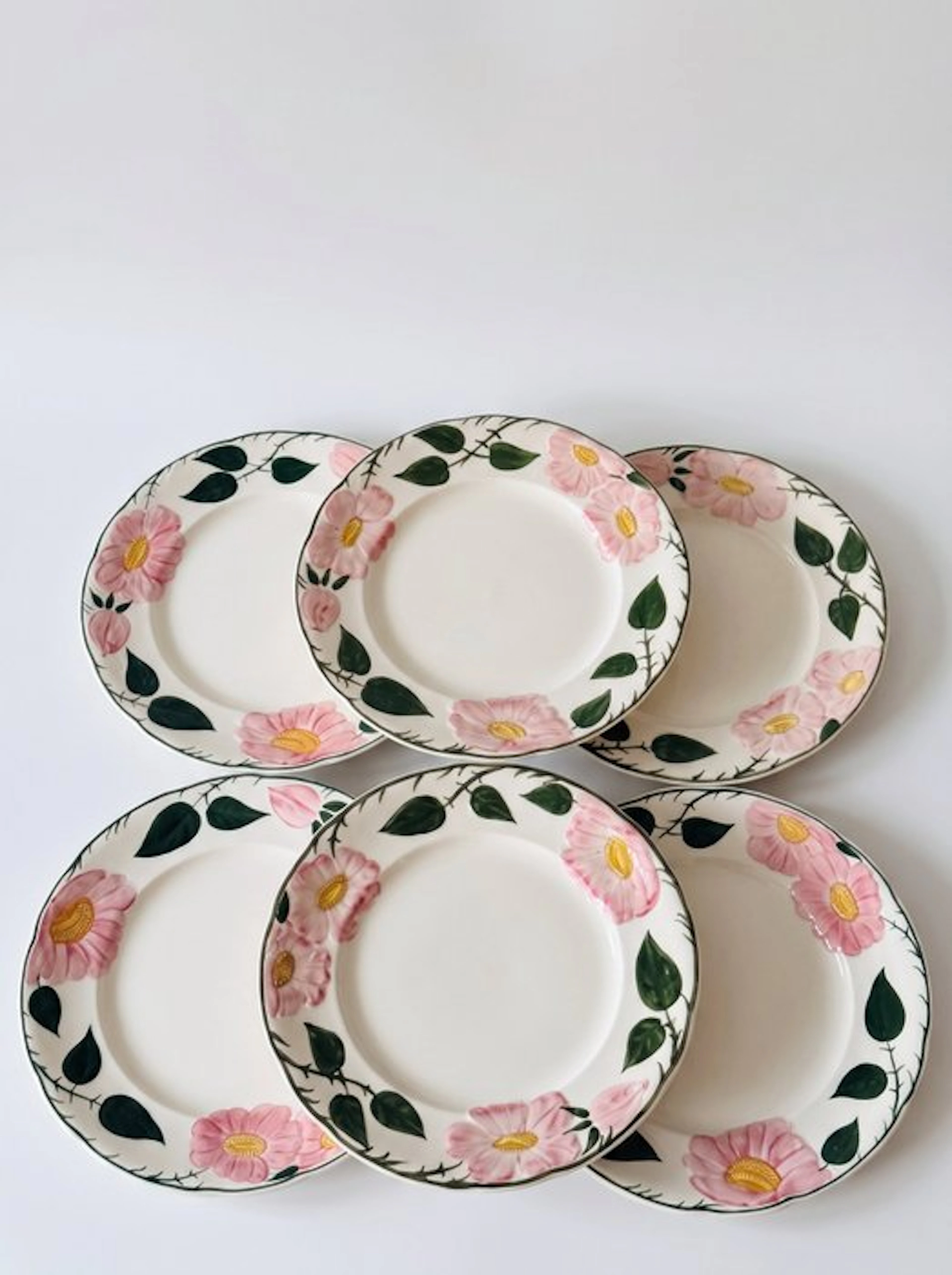 Villeroy & Boch - Dish (6) - wild-Rose - Porcelain