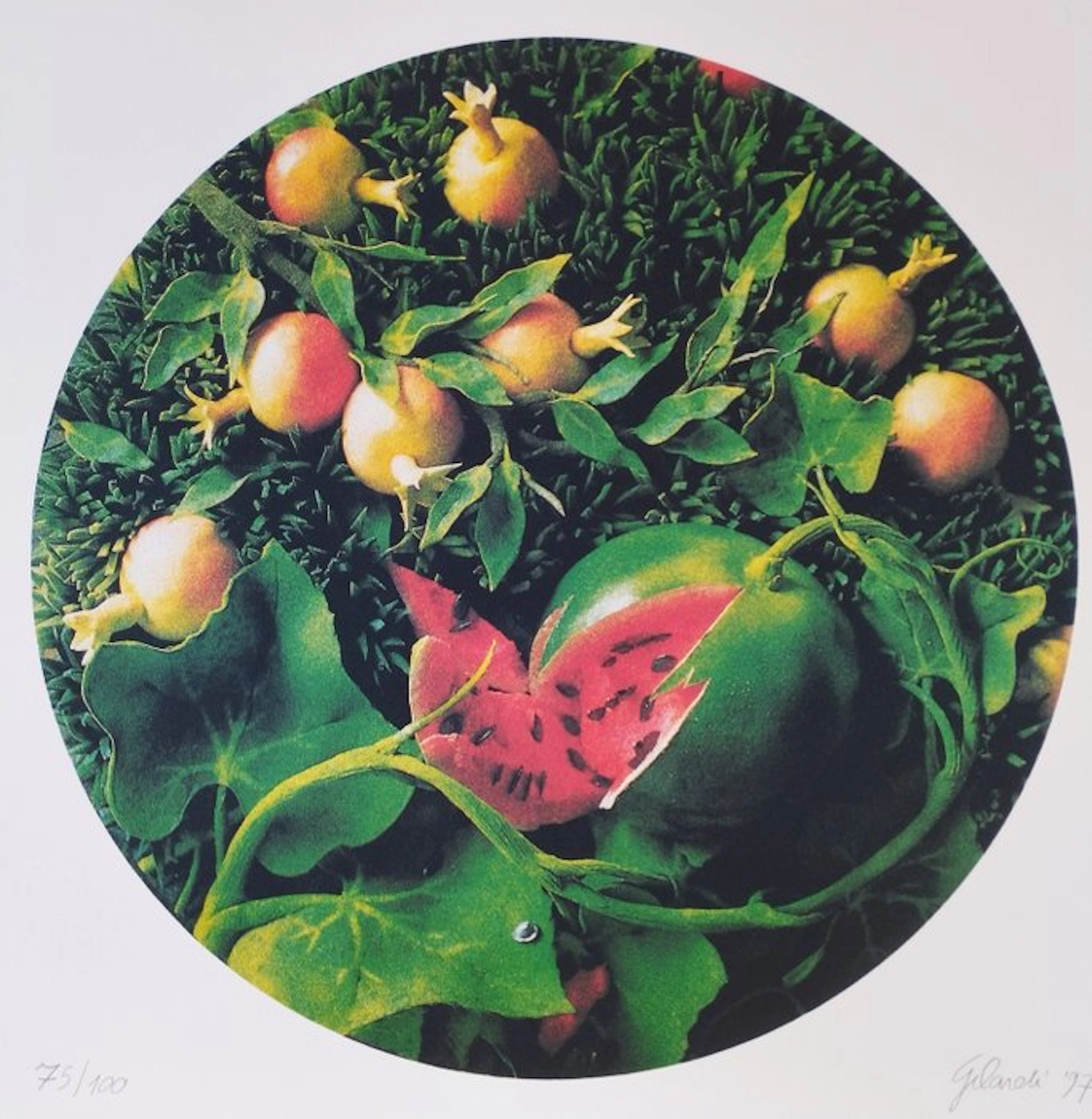 Piero Gilardi (1942) - Natura morta con cocomero e melograni