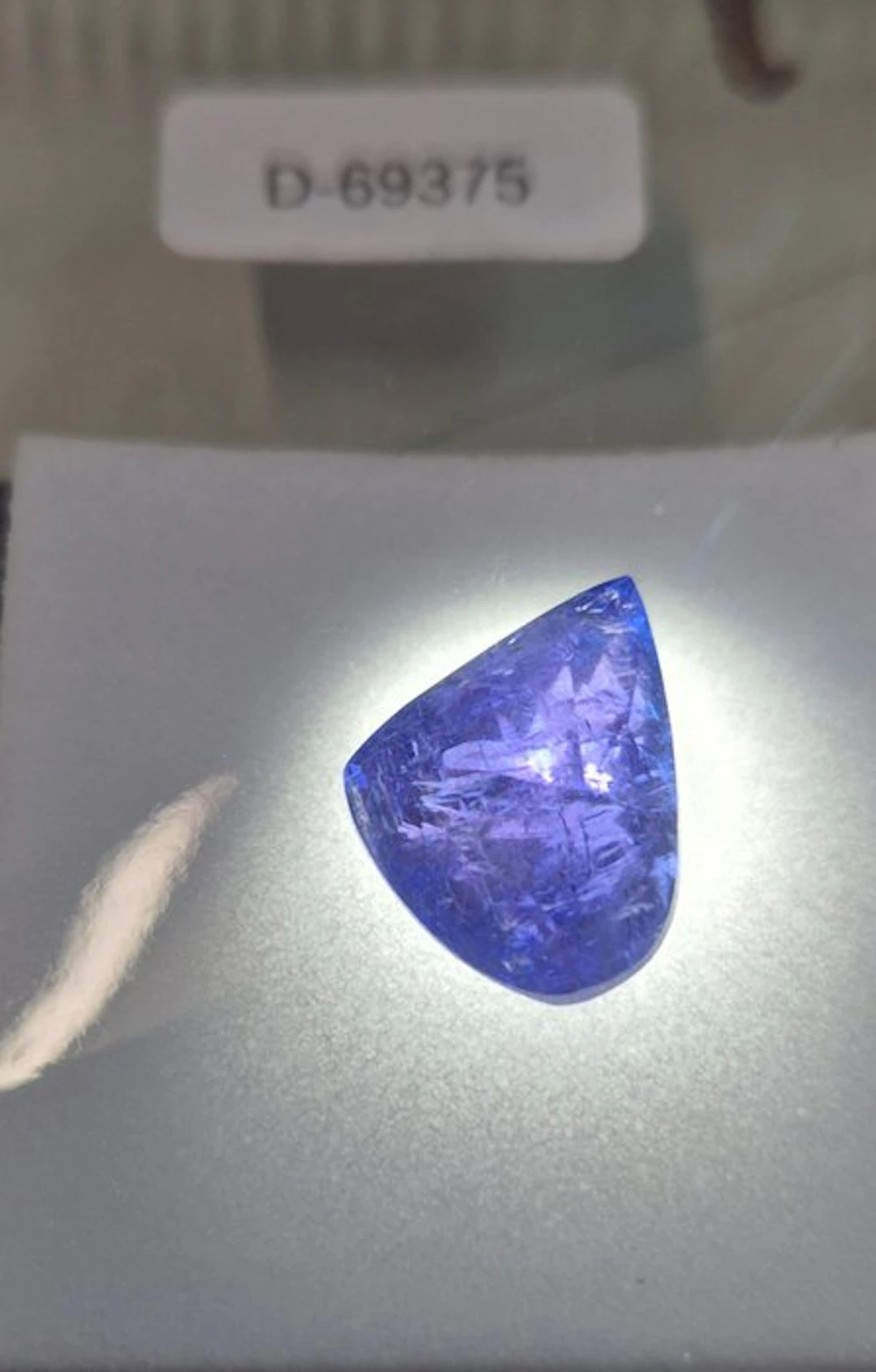 1 pcs Violet
