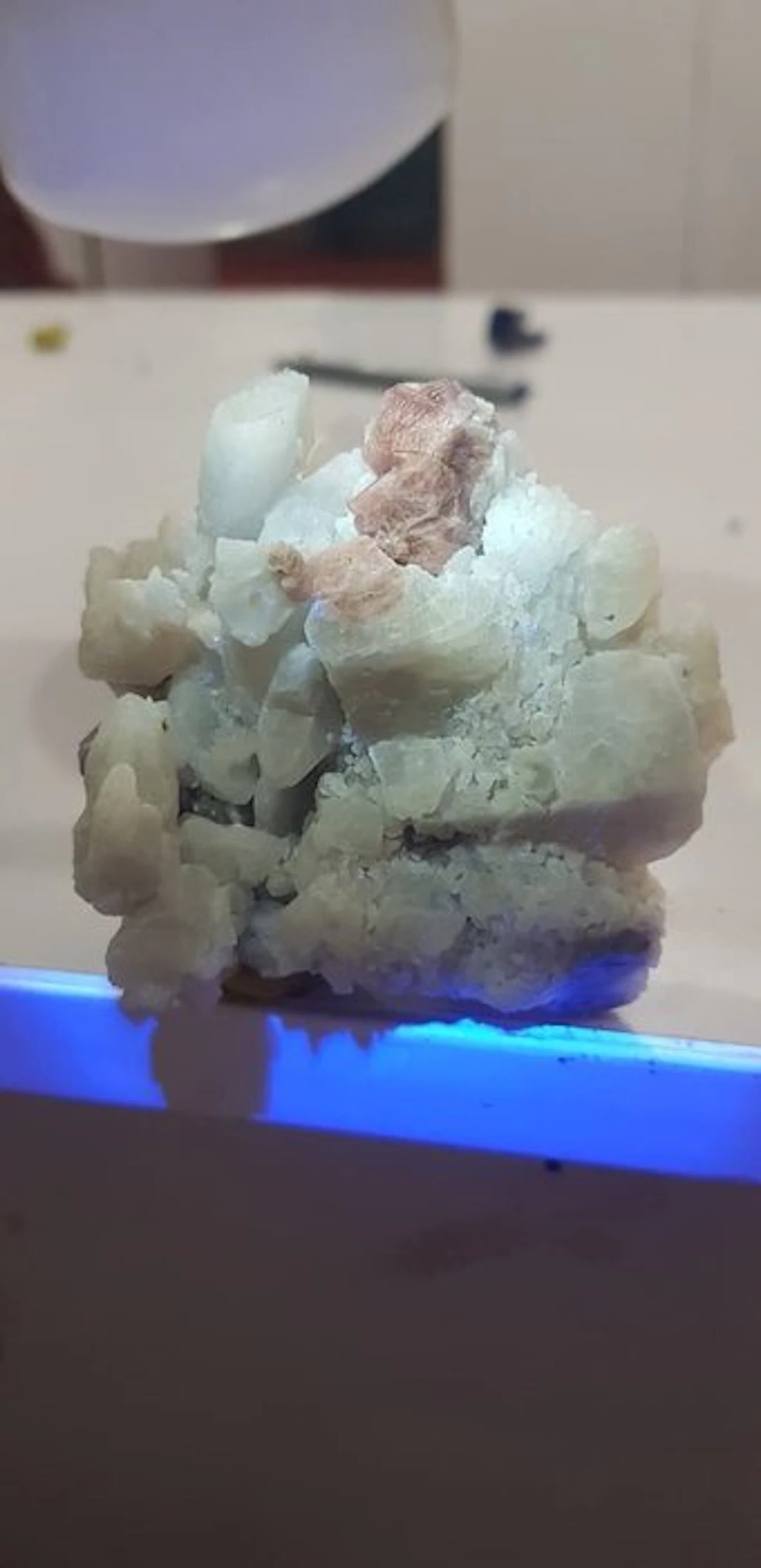 Rare florescent purple spinal specimen under UV light...