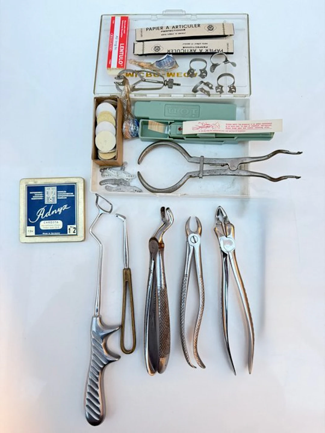 Anatomical model - High-quality medical stainless steel...