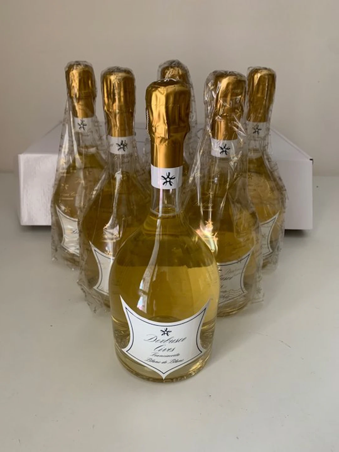 Derbusco Cives : Blanc de Blanc - Franciacorta - 6 Bottles (0.75L)