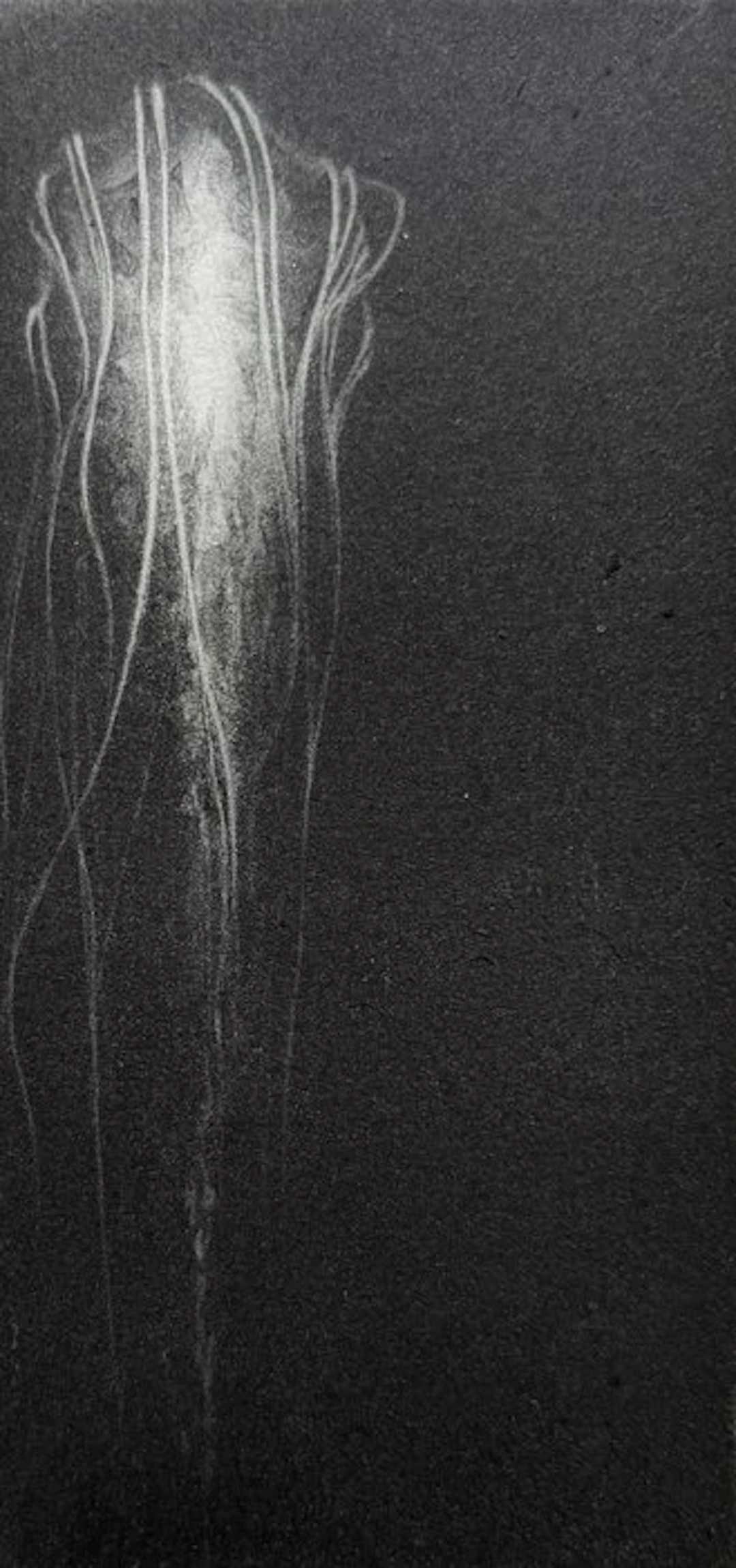 'Specimen of memory' - NEW WORK ON CATAWIKI ! - Riko...