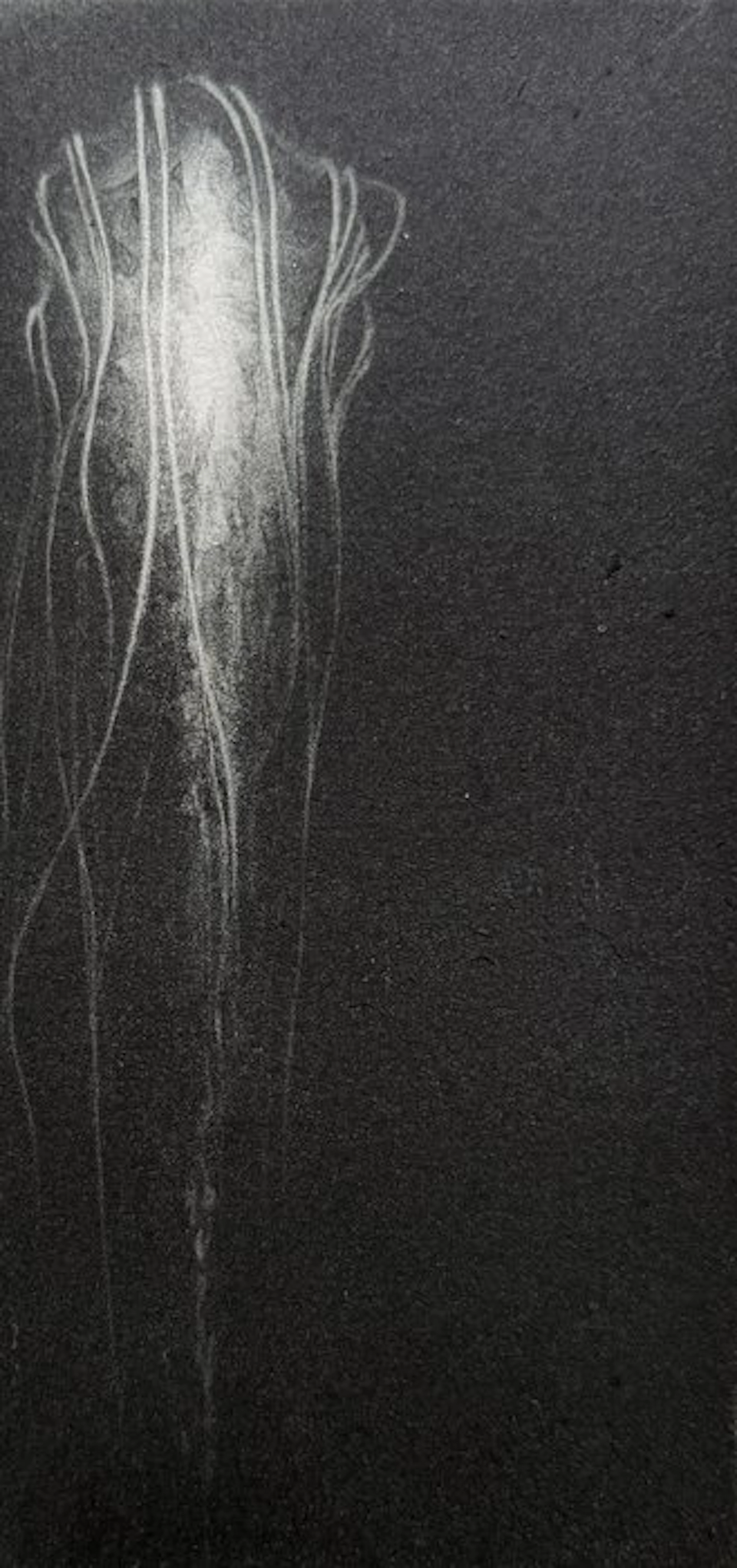'Specimen of memory' - NEW WORK ON CATAWIKI ! - Riko...