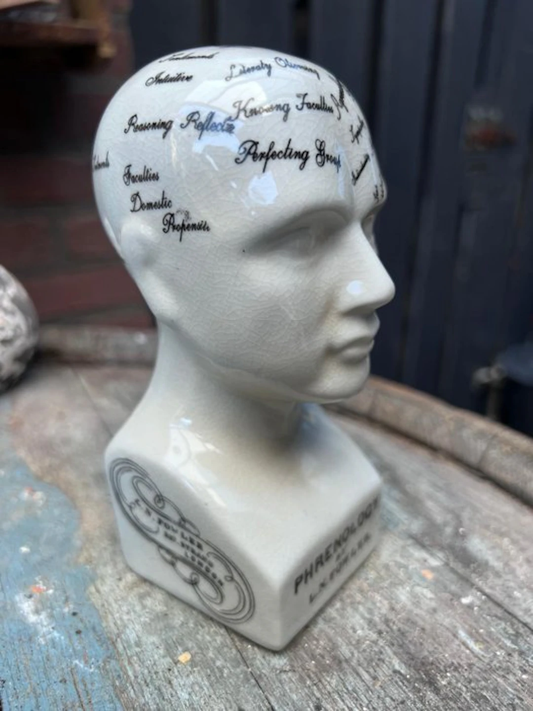 Decorative ornament - Europe - Phrenology Head
