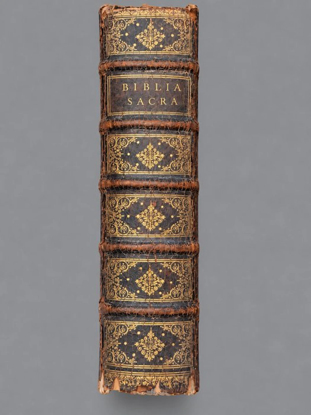 Biblia Sacra Vulgatae Editionis – Lyon, Claude Bourgeat - 1669