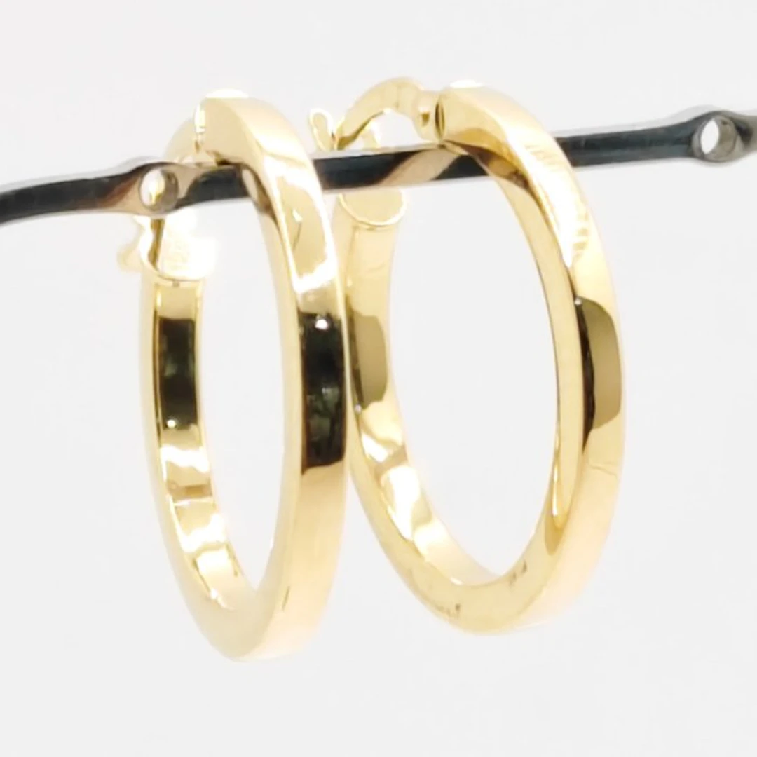 No reserve price - Earrings - 18 kt. Yellow gold