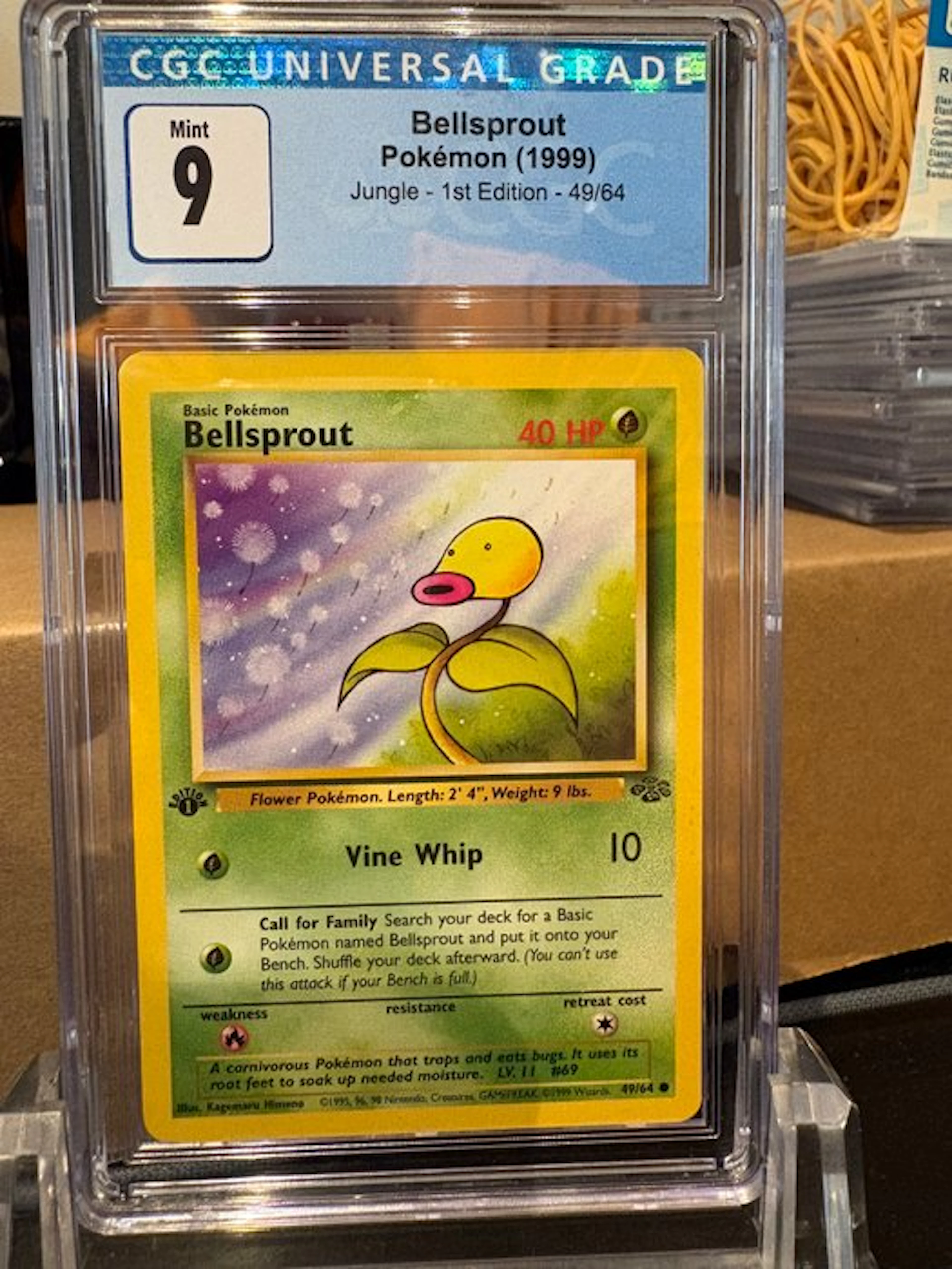 Pokémon - 1 Graded card - Bellsprout 49/64 First edition - CGC 9