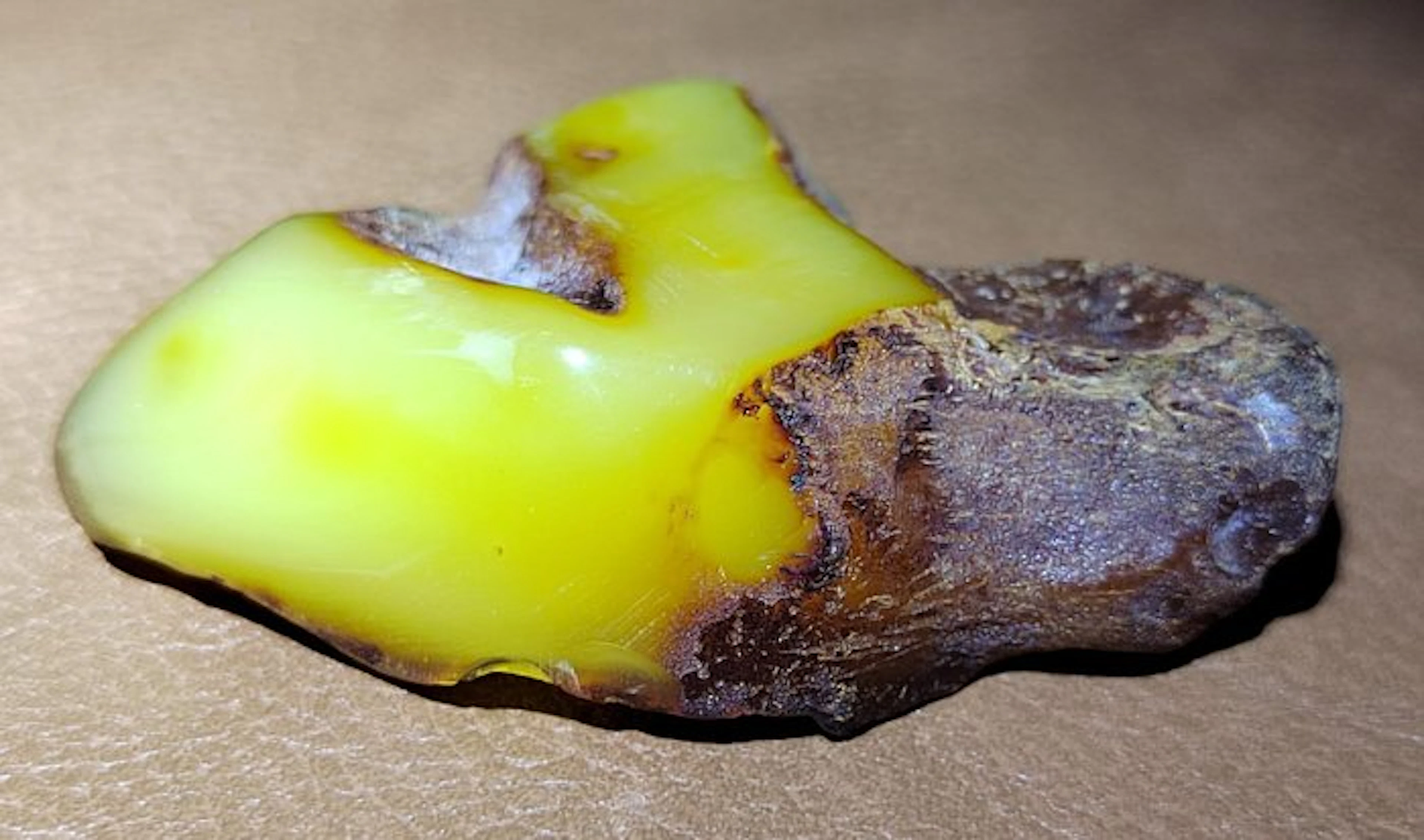 Baltic Amber- High Quality AAA- 51.45 g