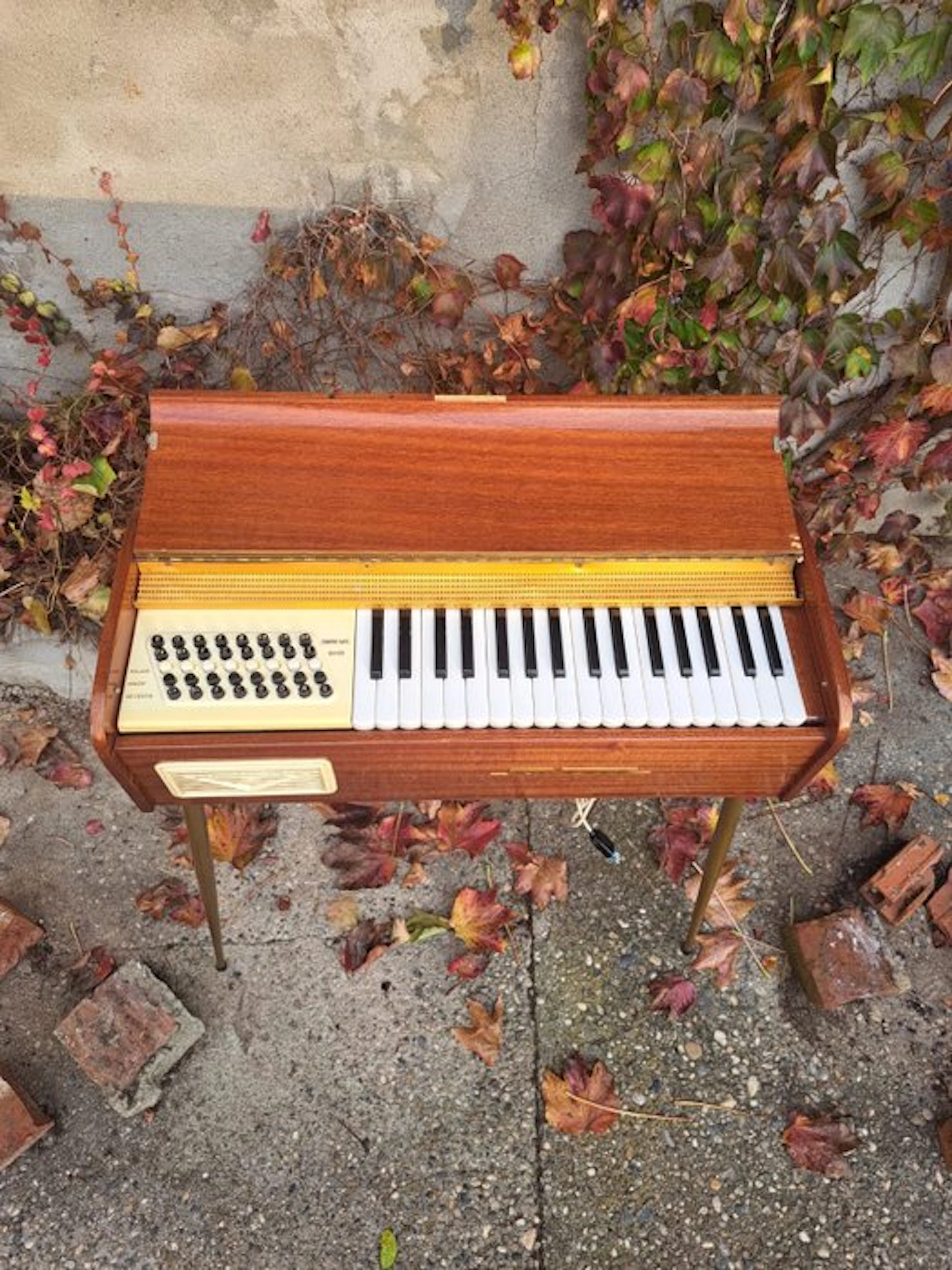 Farfisa - Sonette - - Organ - Italy - 1960