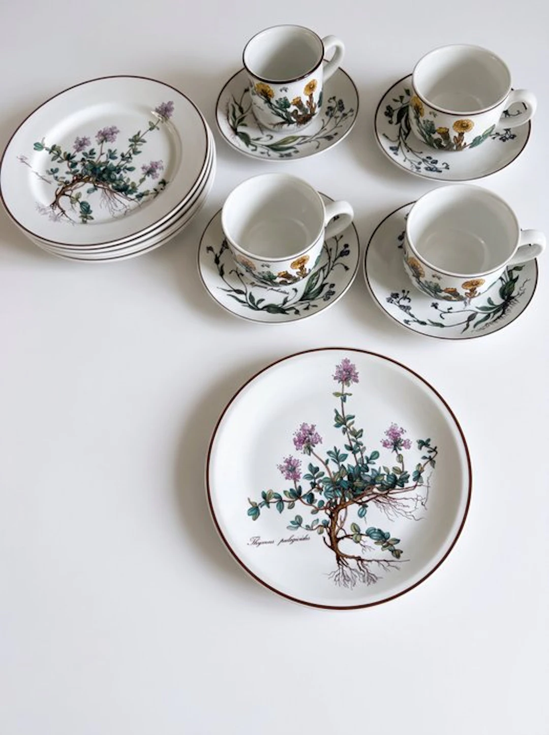 Table service (10) - Porcelain