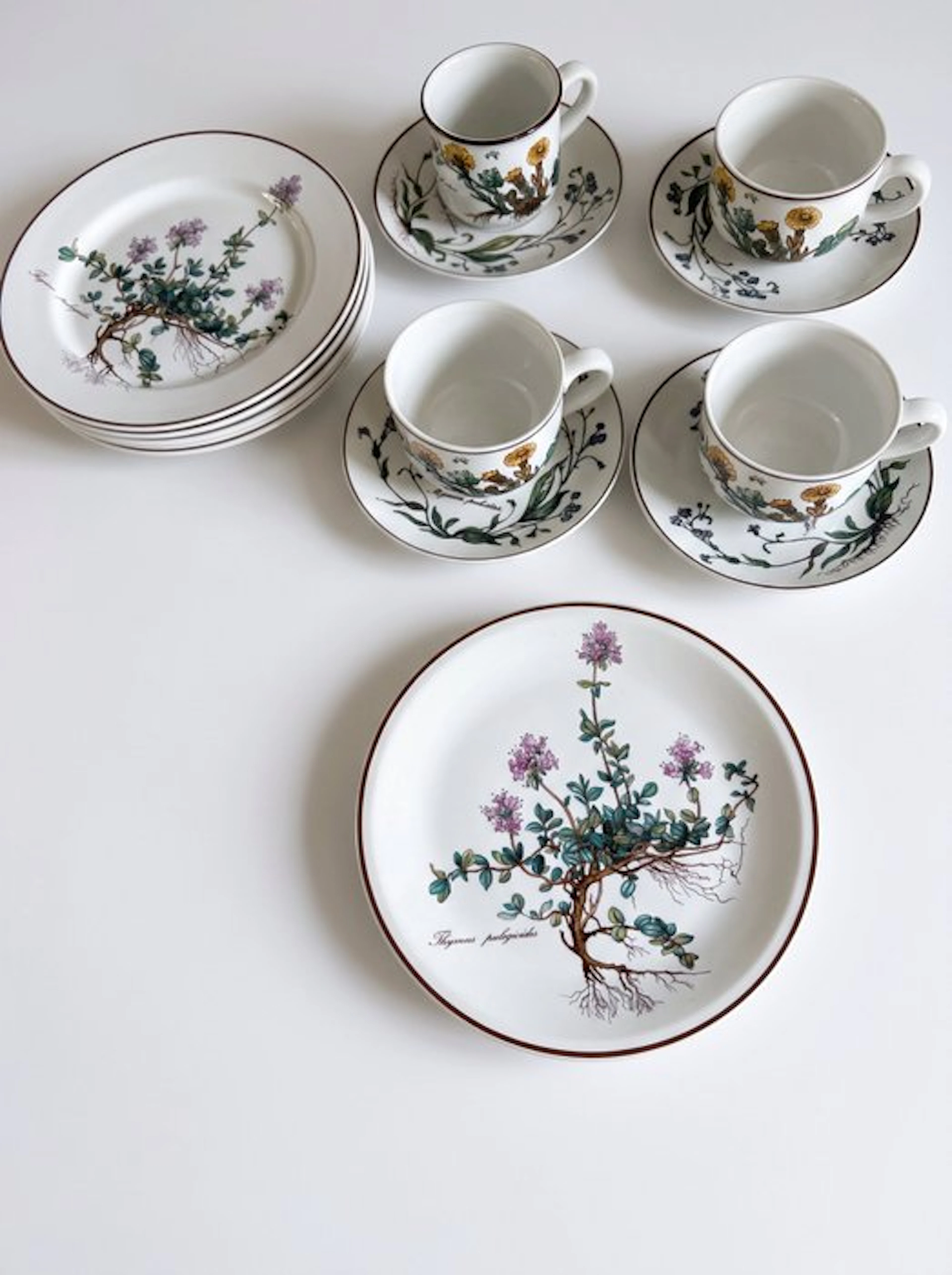 Table service (10) - Porcelain