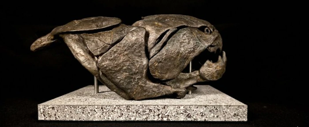 Dunkleosteus replica 20 cm - Fossil skull
