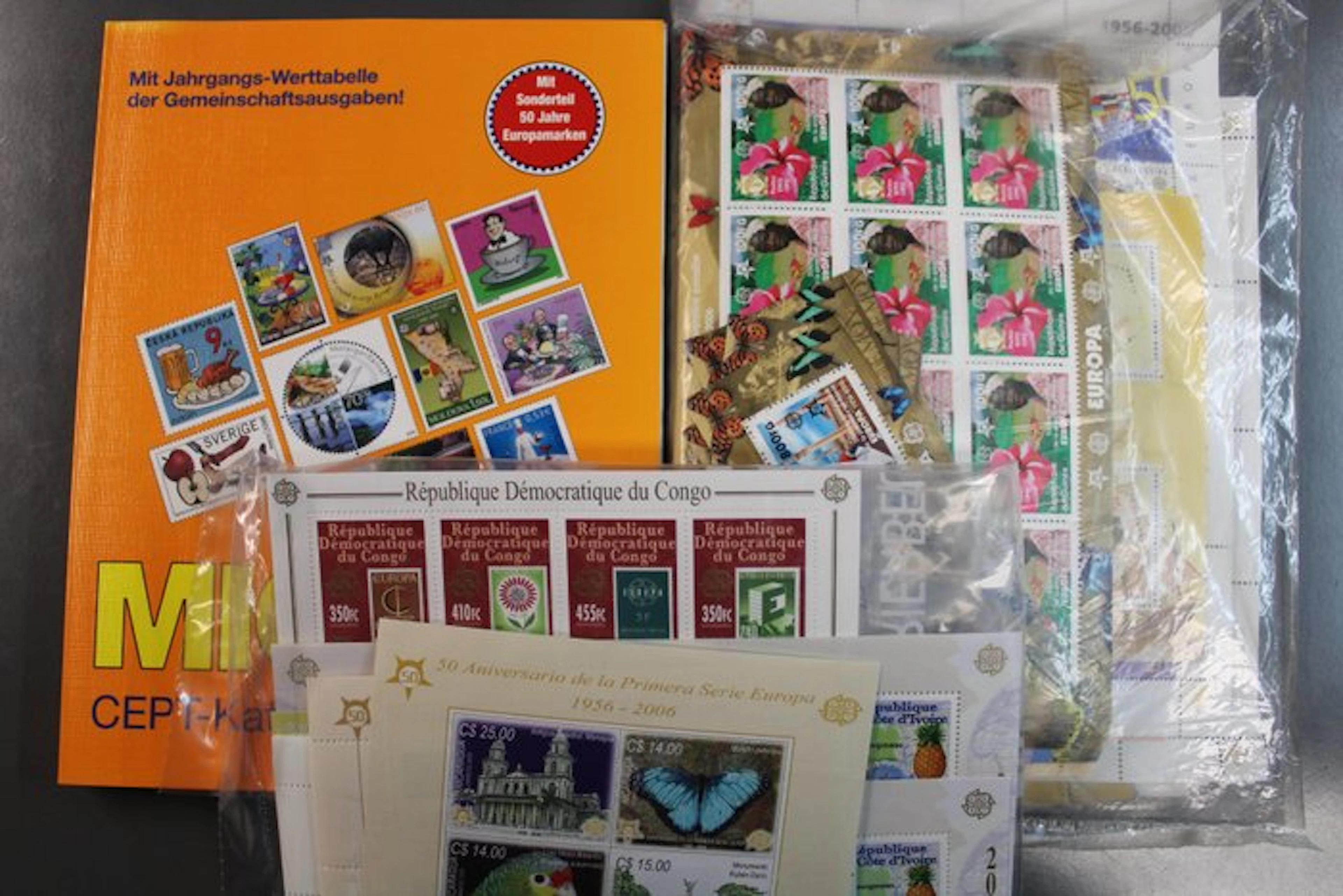 Europe - CEPT European stamps: over 300 different blocks...