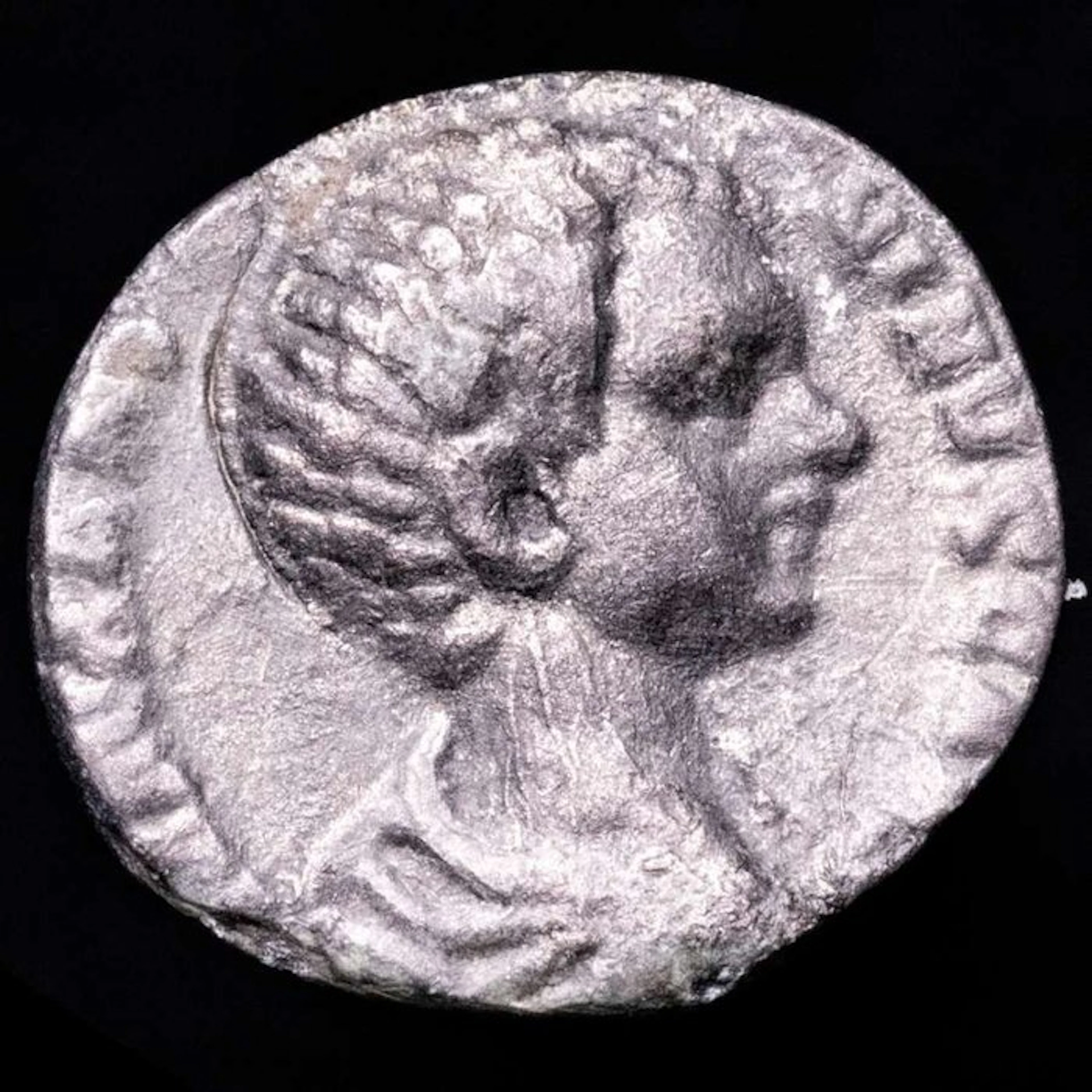 Roman Empire