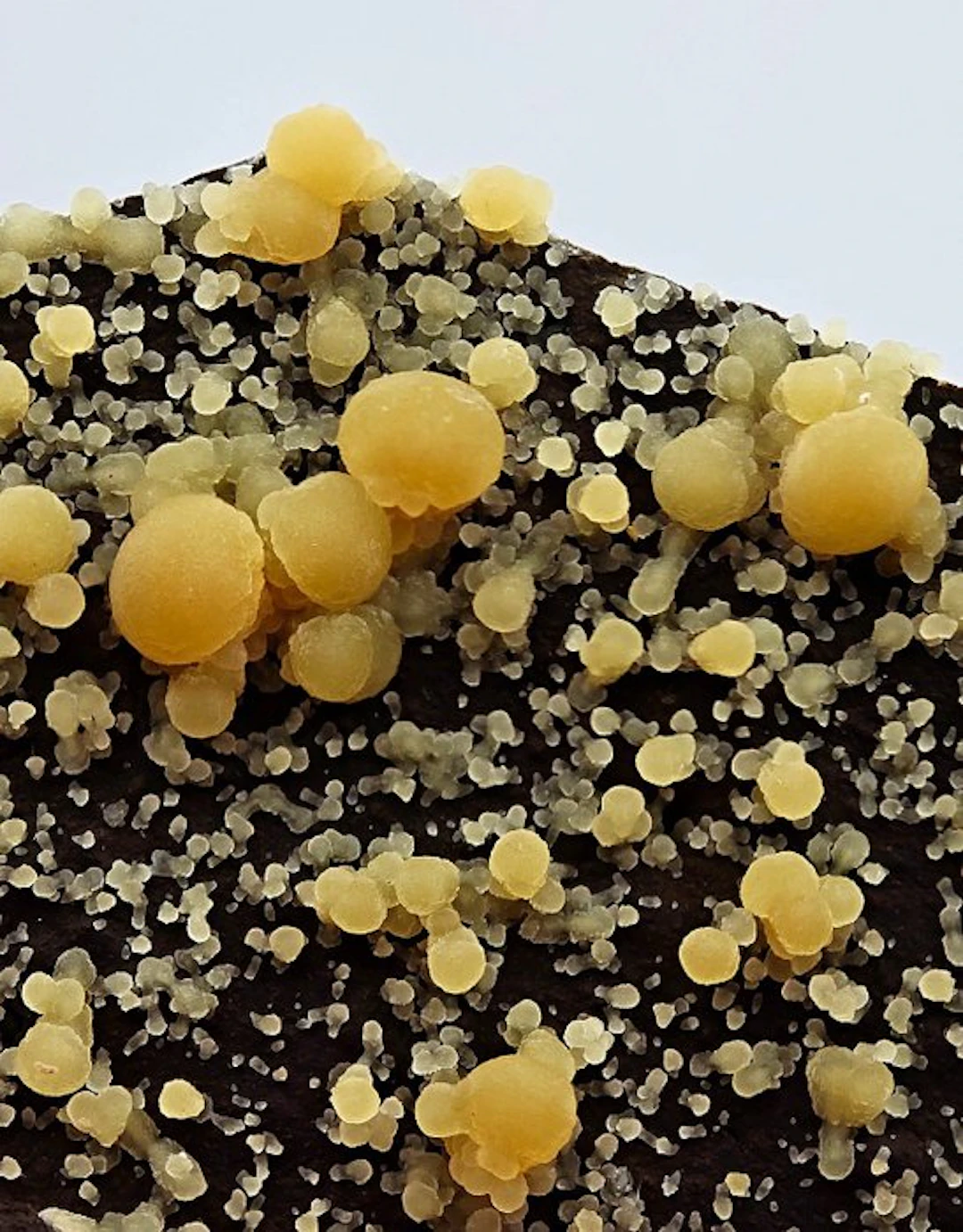 Calcite Aesthetics with Yellow Spheres