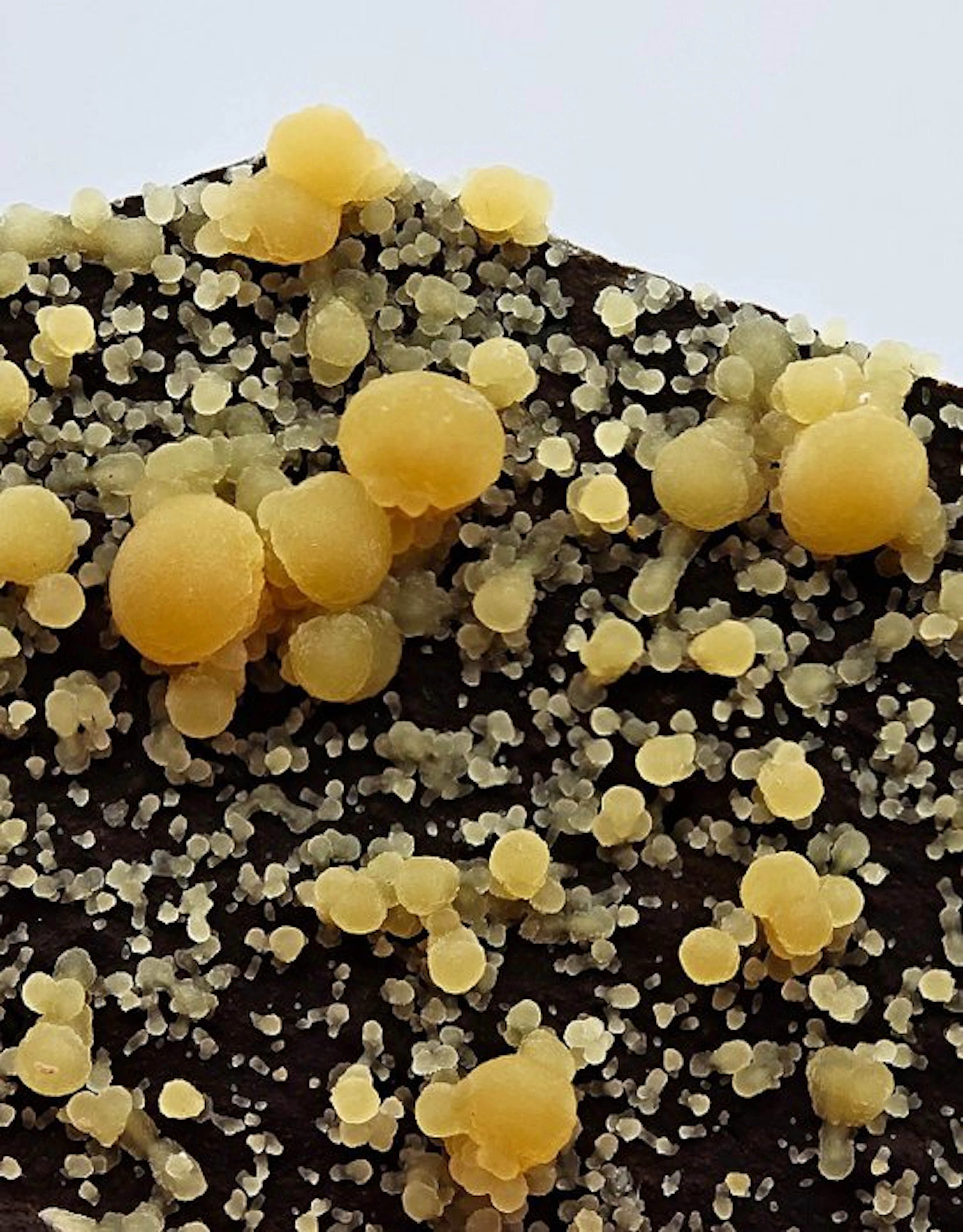 Calcite Aesthetics with Yellow Spheres