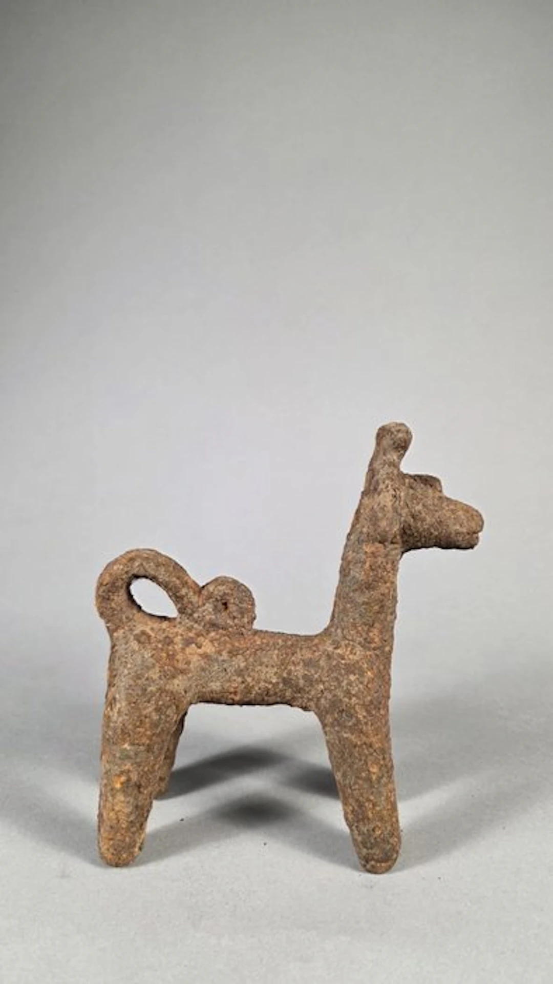 Rare dog - Djenne - Mali-Niger