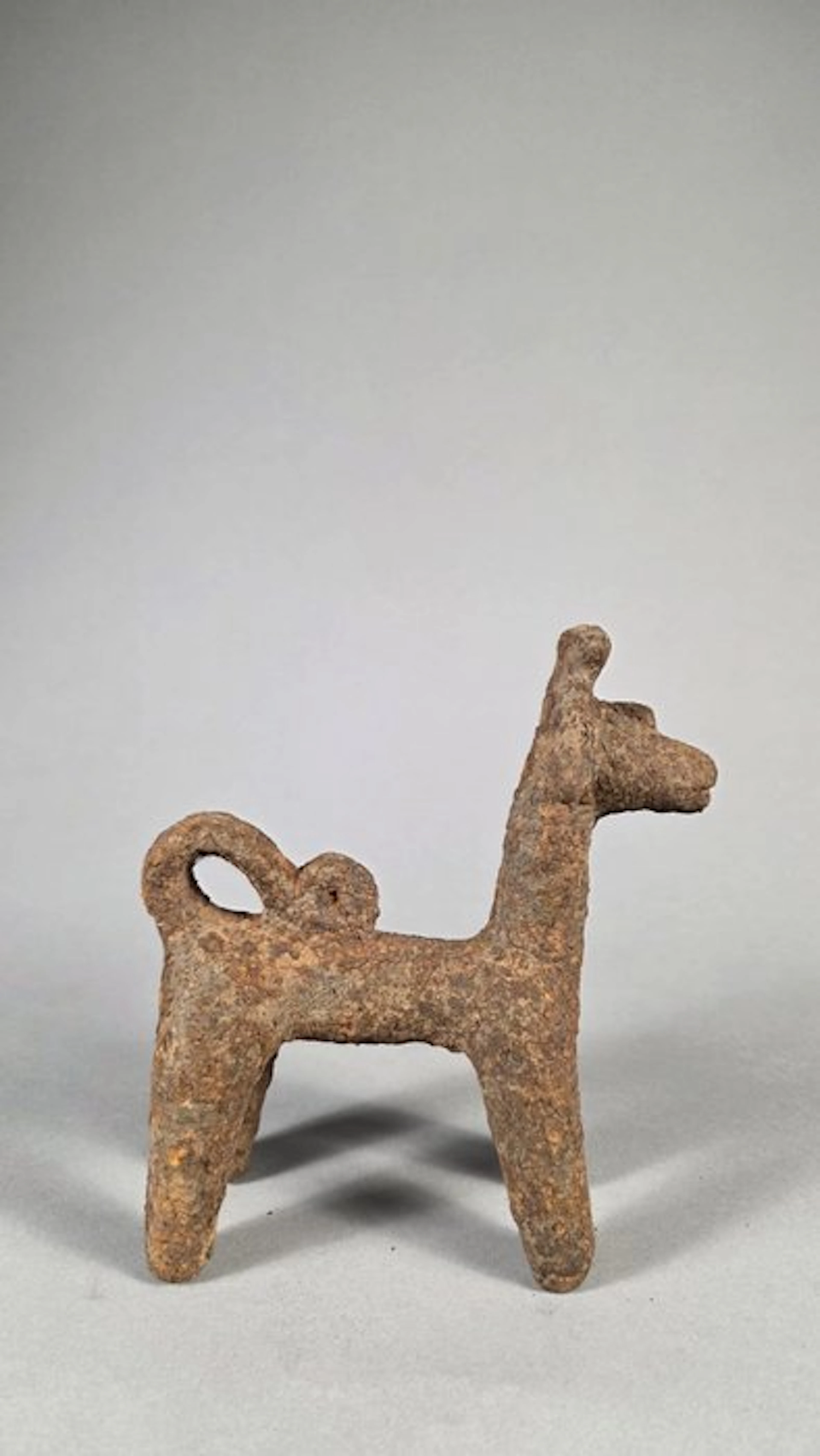 Rare dog - Djenne - Mali-Niger