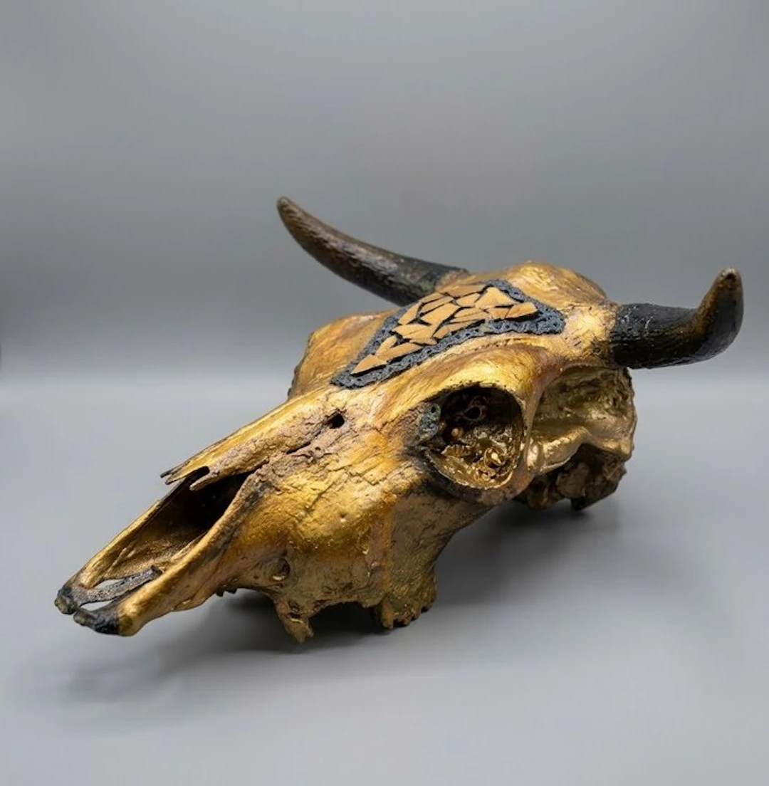 Cow Mammal skull - Bos taurus - 30 cm - 60 cm - 50 cm - (1)