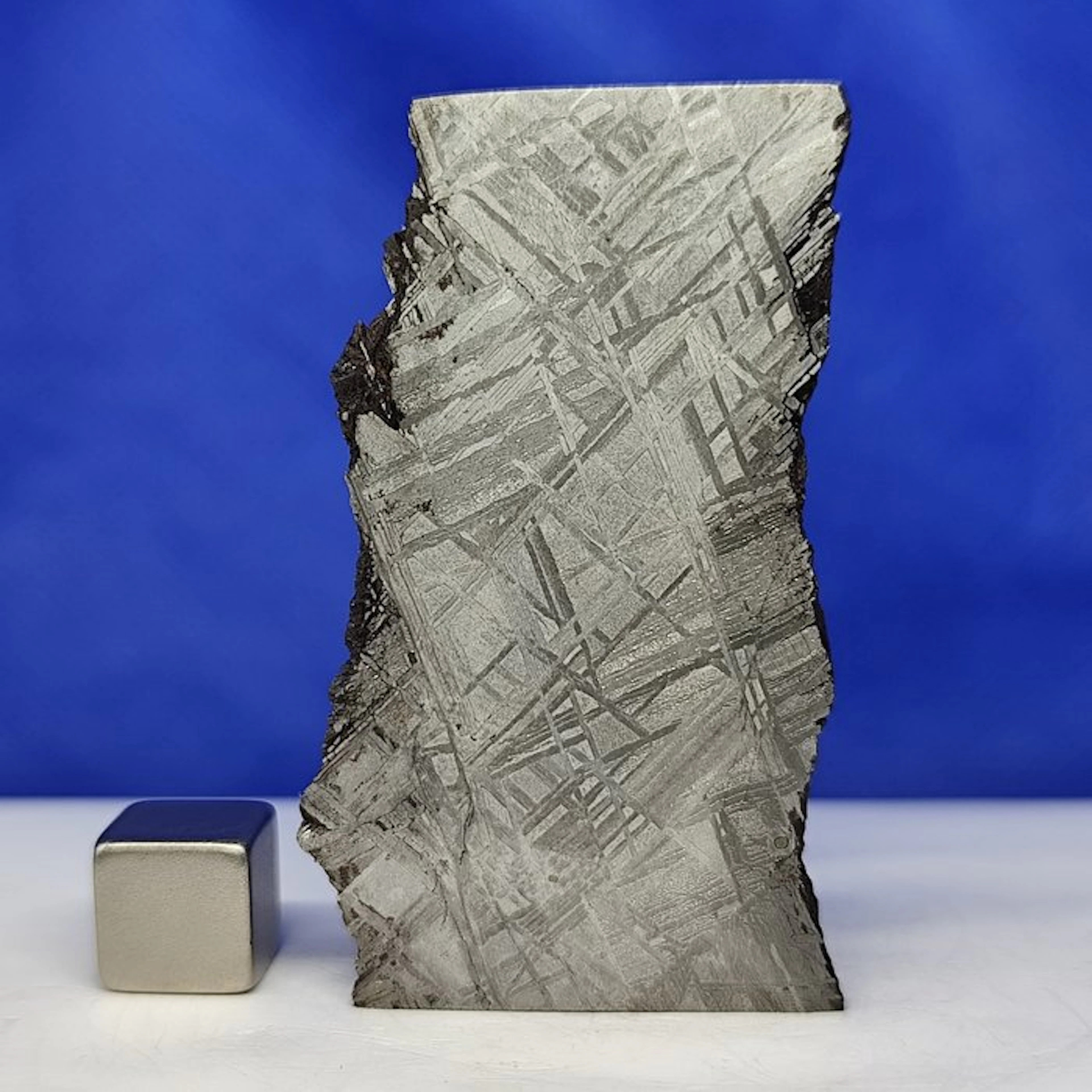 Amazing endcut- Muonionalusta METEORITE (Sweden
