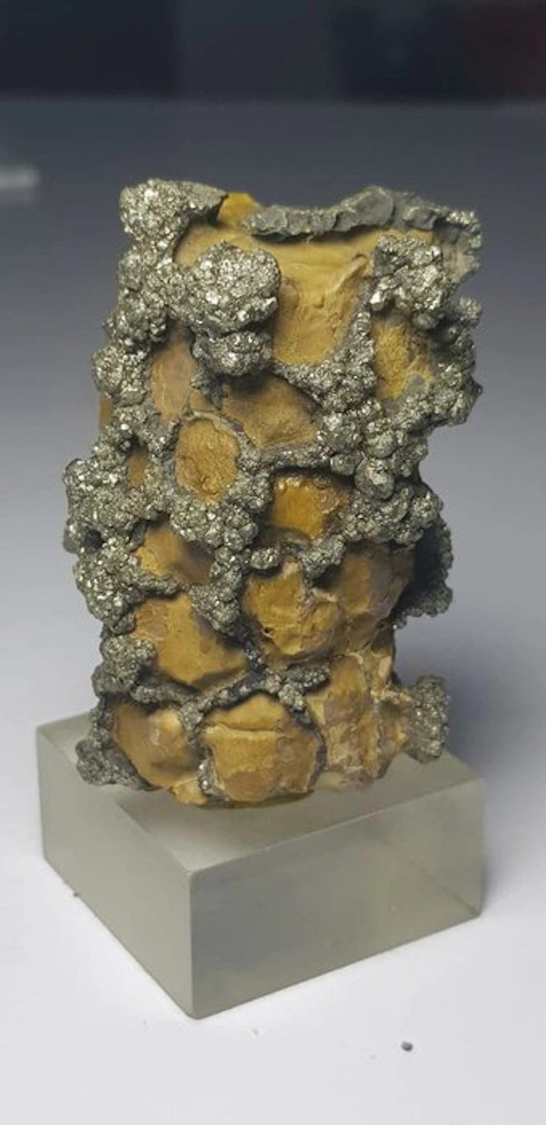 Natural Pyrite crystal Specimen - Height: 65 mm - Width: 44 mm- 202 g - (1)