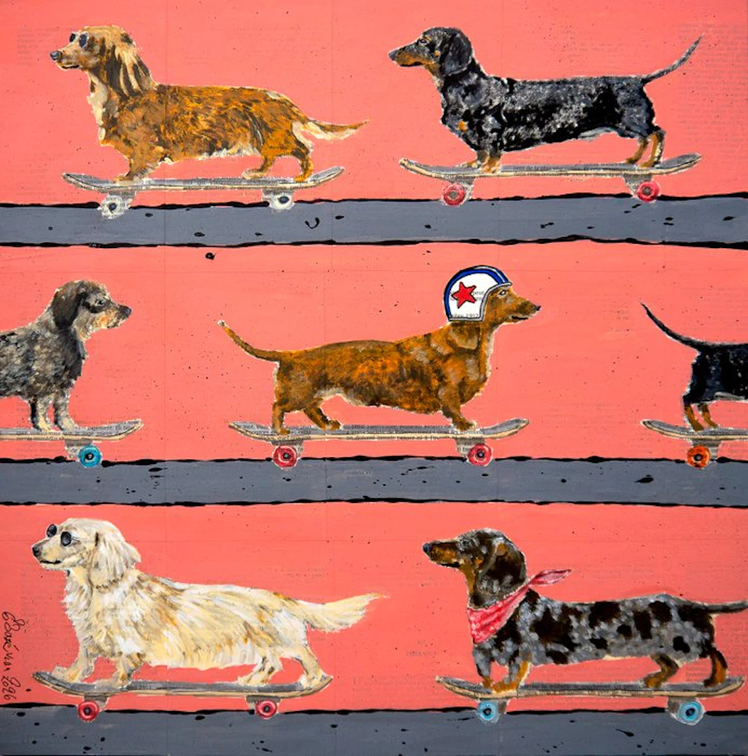 Bazévian DelaCapucinière - Dach Ride Machine Dachshund...