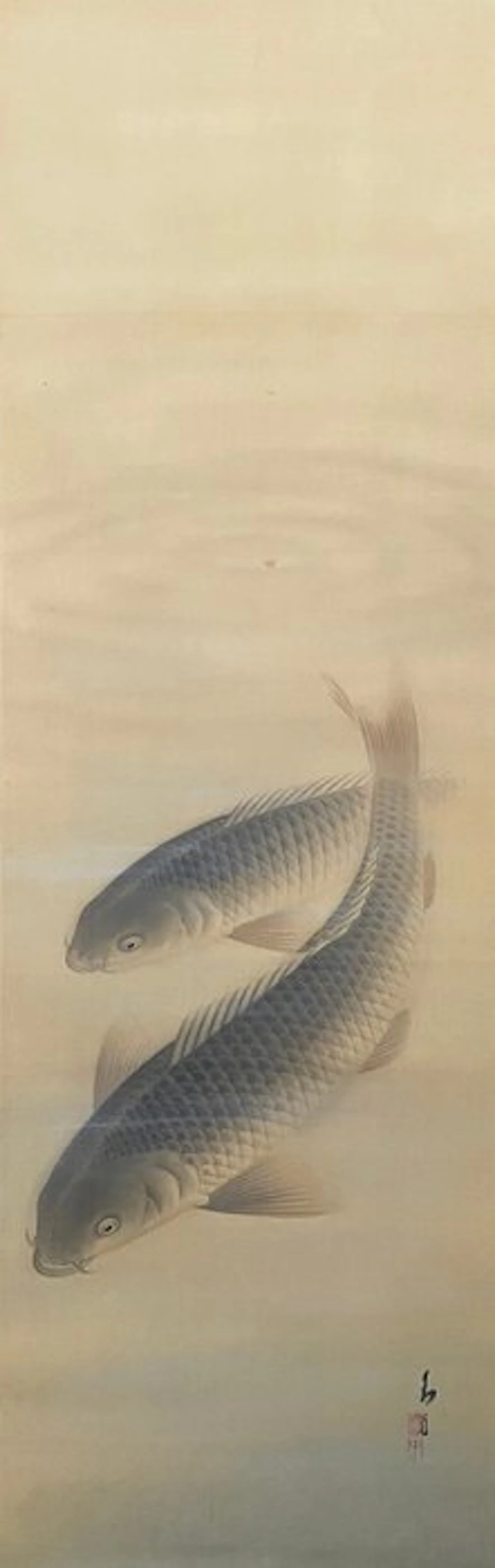 Scroll painting (Kakejiku) / 'Two large carps with water...