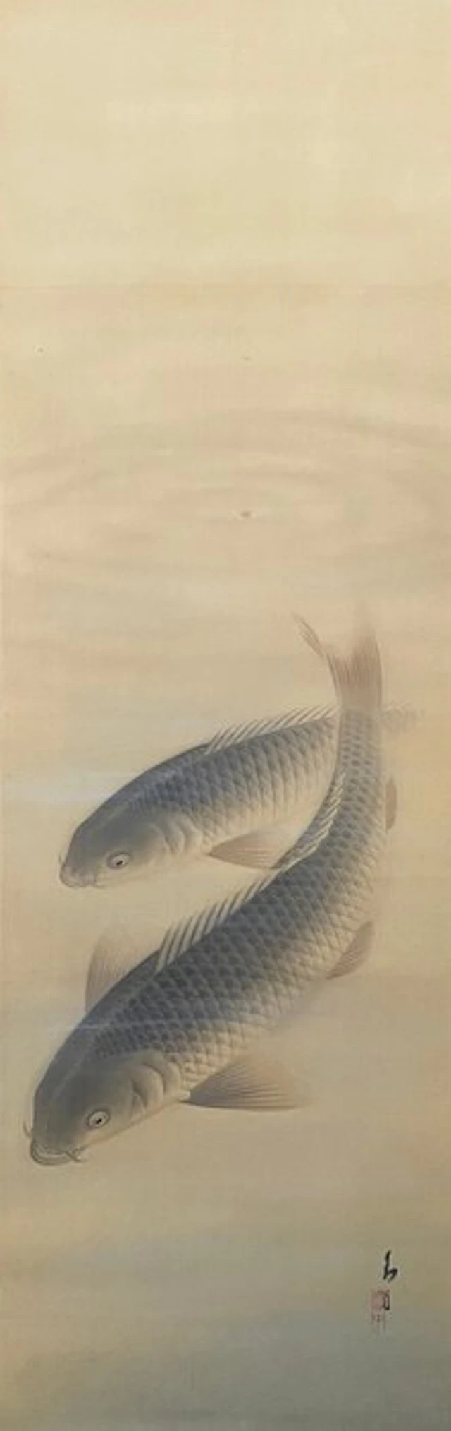 Scroll painting (Kakejiku) / 'Two large carps with water...