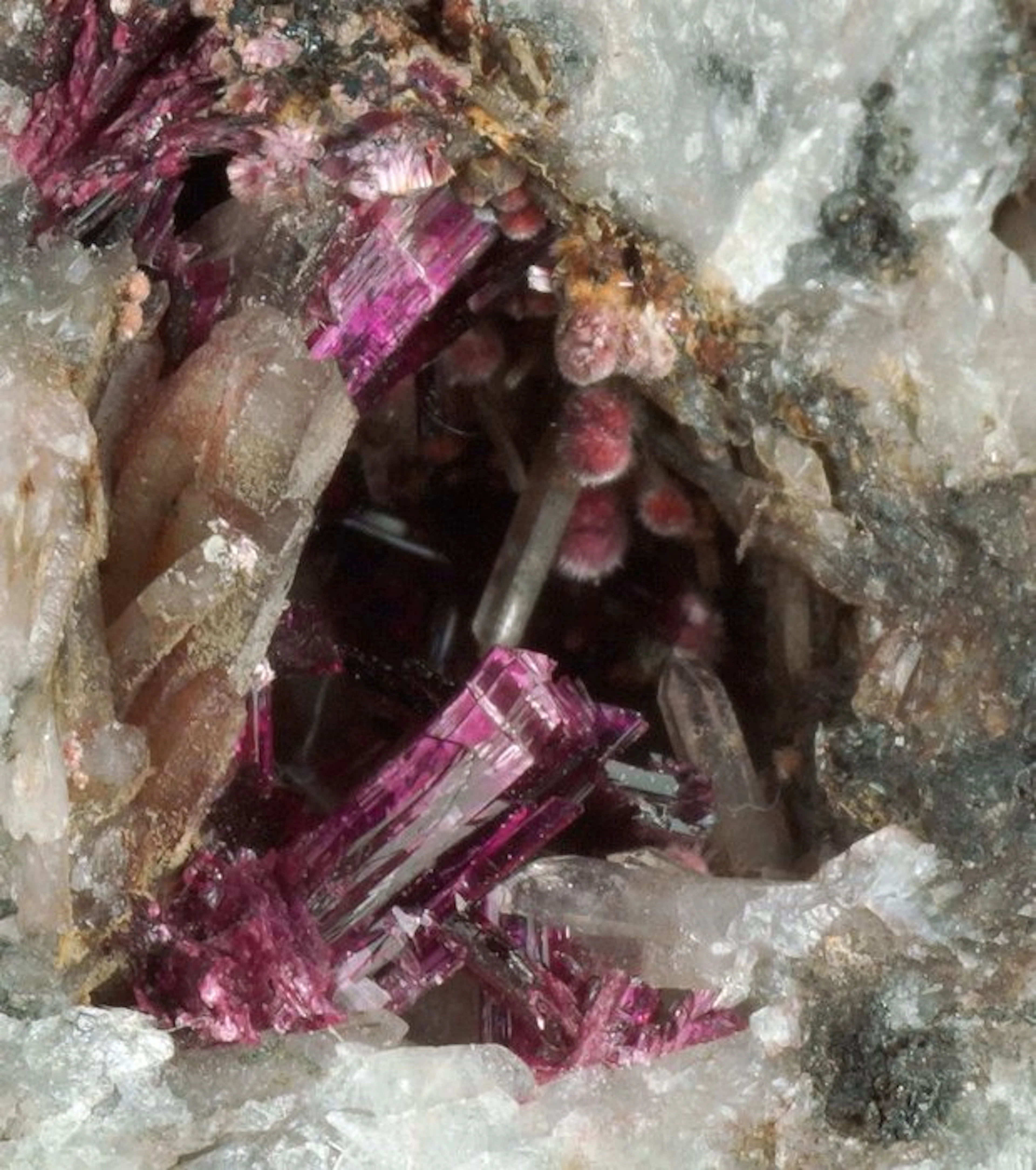 Cobalt-koritnigite