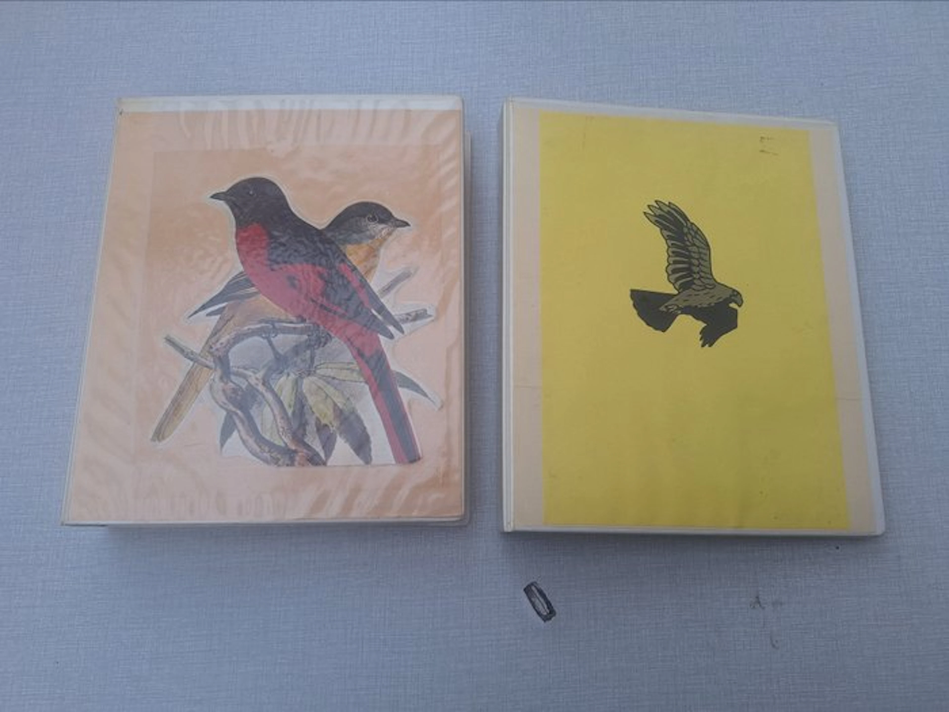 World collection on the theme of birds