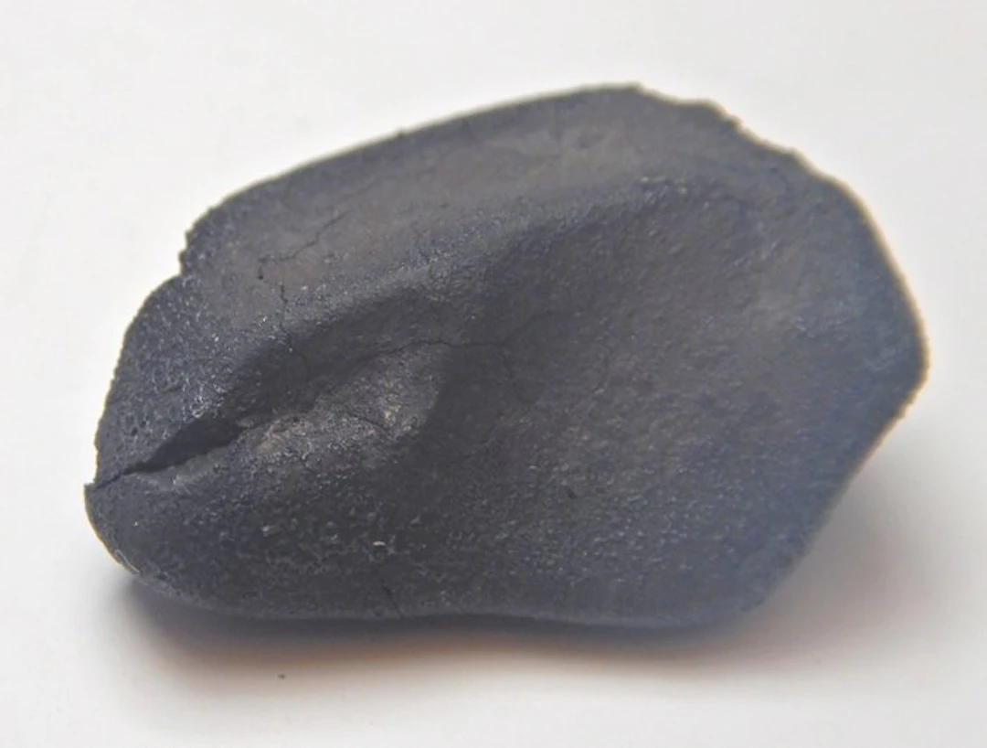 TARDA - Oriented meteorite Carbonaceous Chondrite...