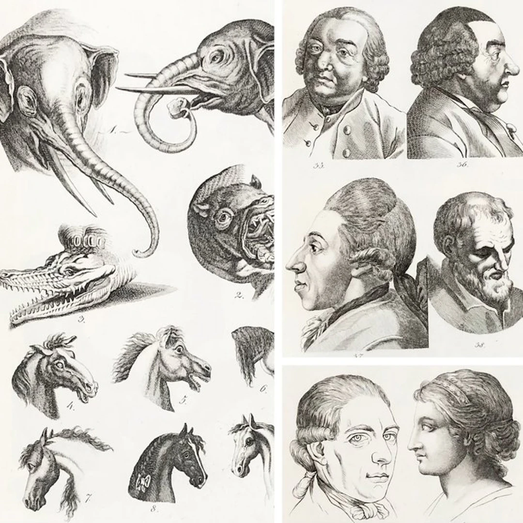 Johann Kaspar Lavater - La physiognomonie ou l'art de...