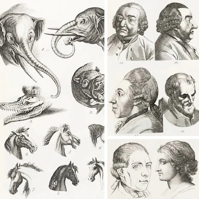 Johann Kaspar Lavater - La physiognomonie ou l'art de...
