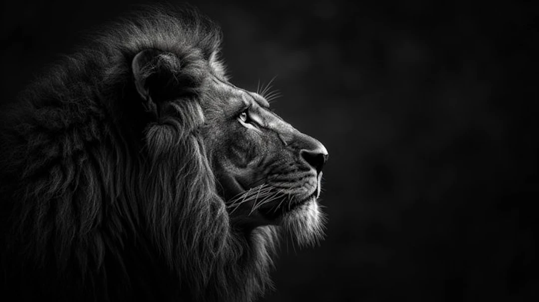 Eric Lespinasse - #9 - Minimalist Fauna BW