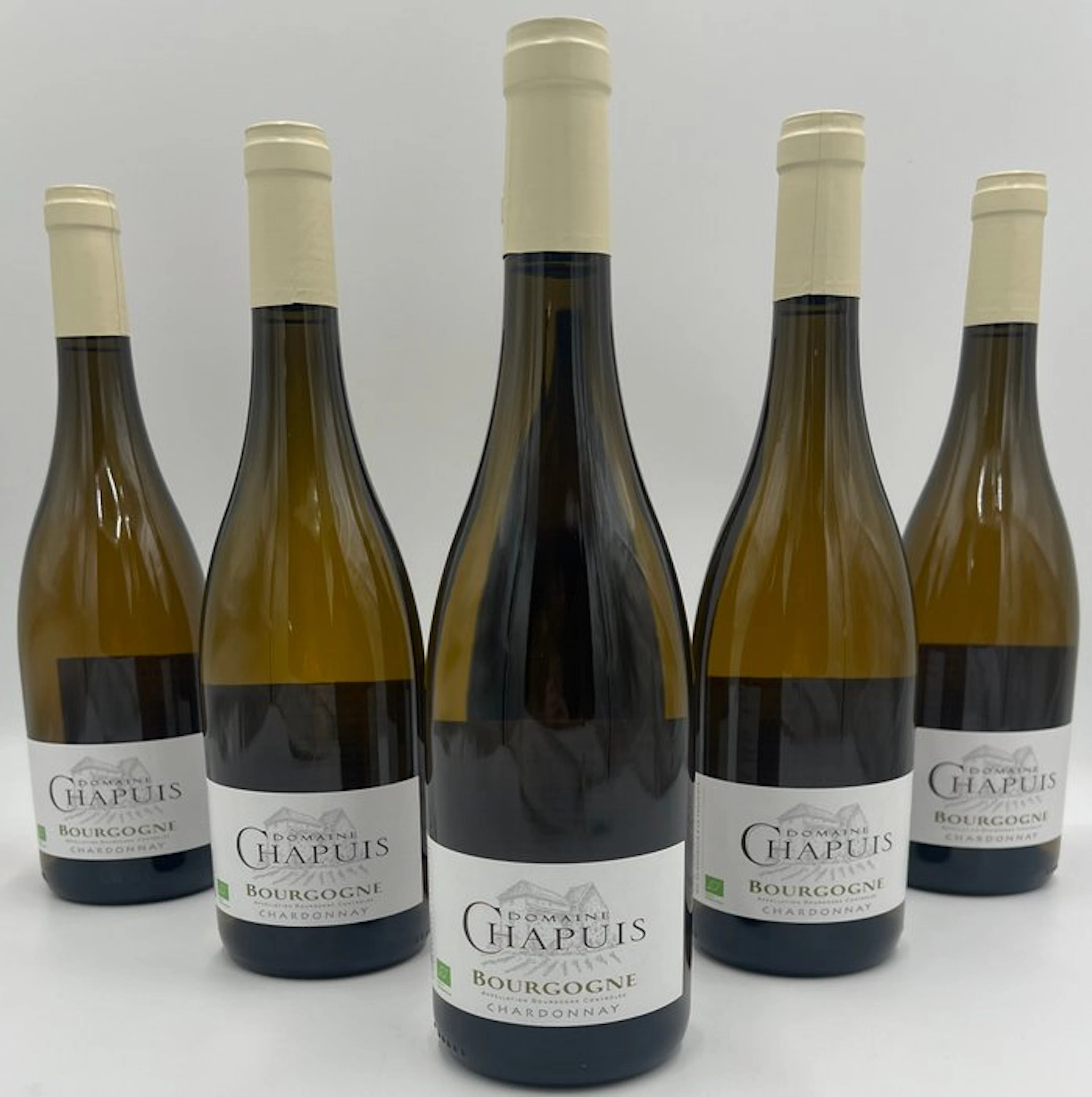2021 Domaine Chapuis - Burgundy - 6 Bottles (0.75L)