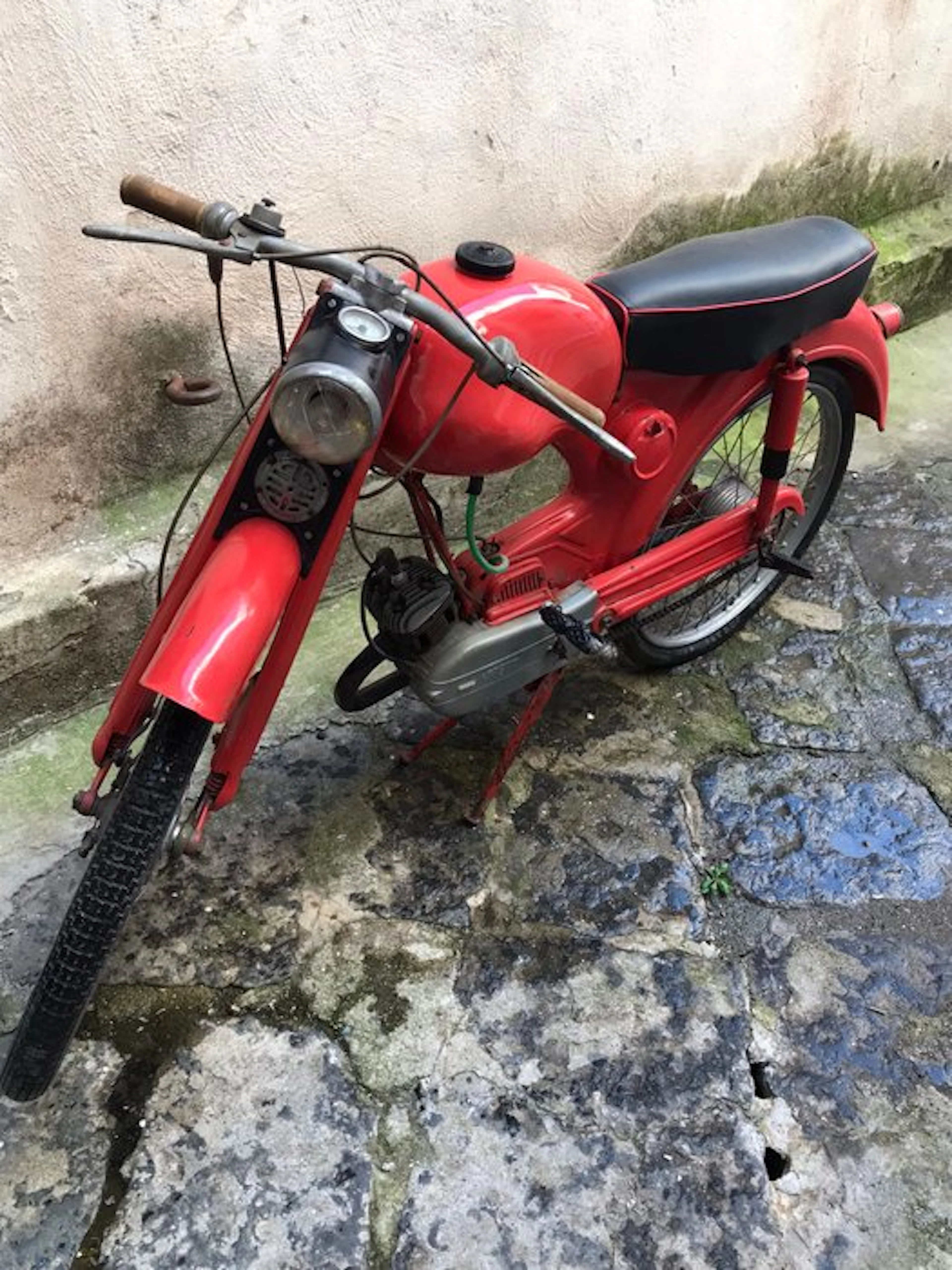 victoria viberti - Live sport 50 - Custom bicycle - Before 2000