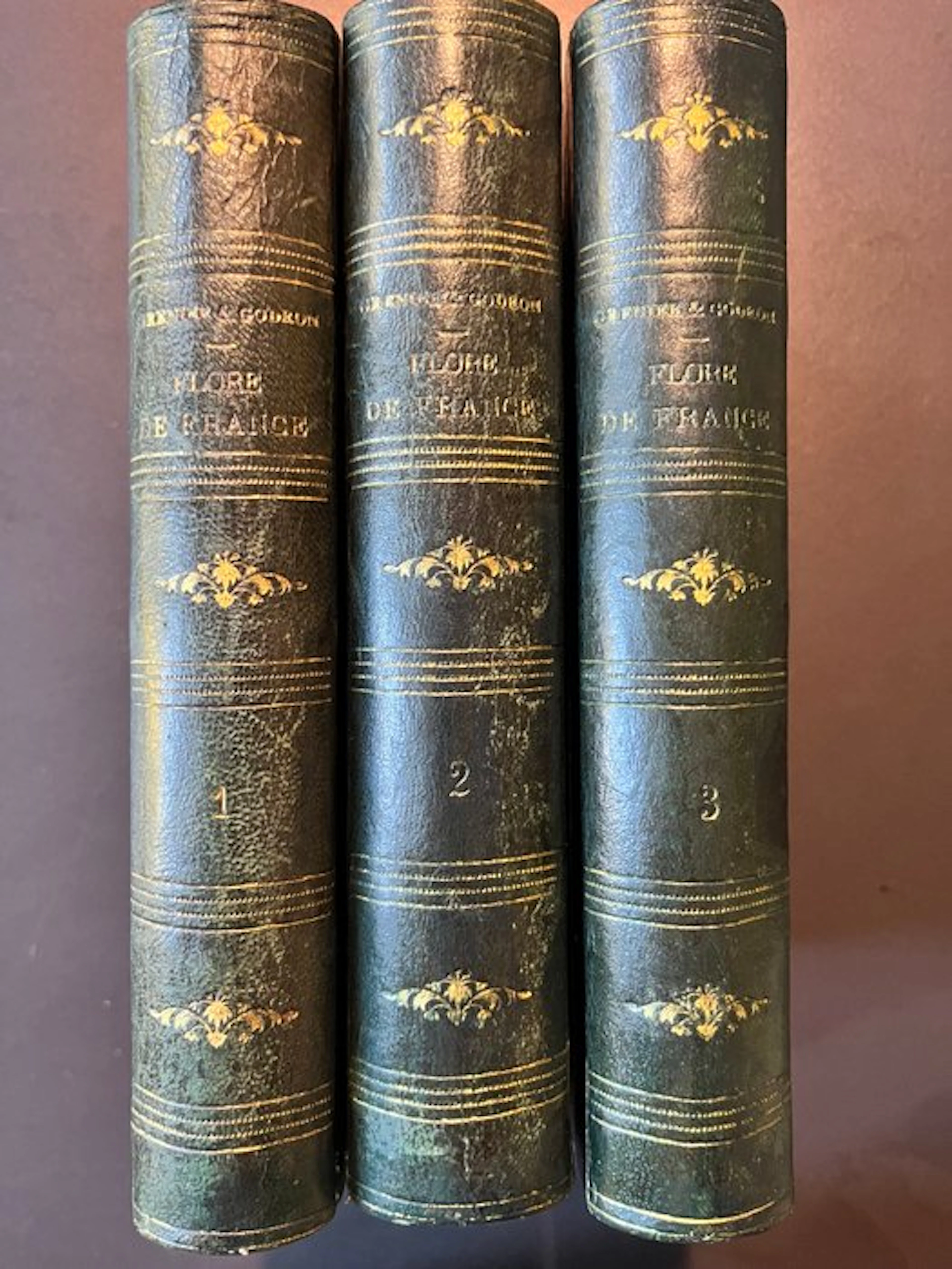 Ch. Grenier et D.-A. Godron - Flore de France - 1848-1856