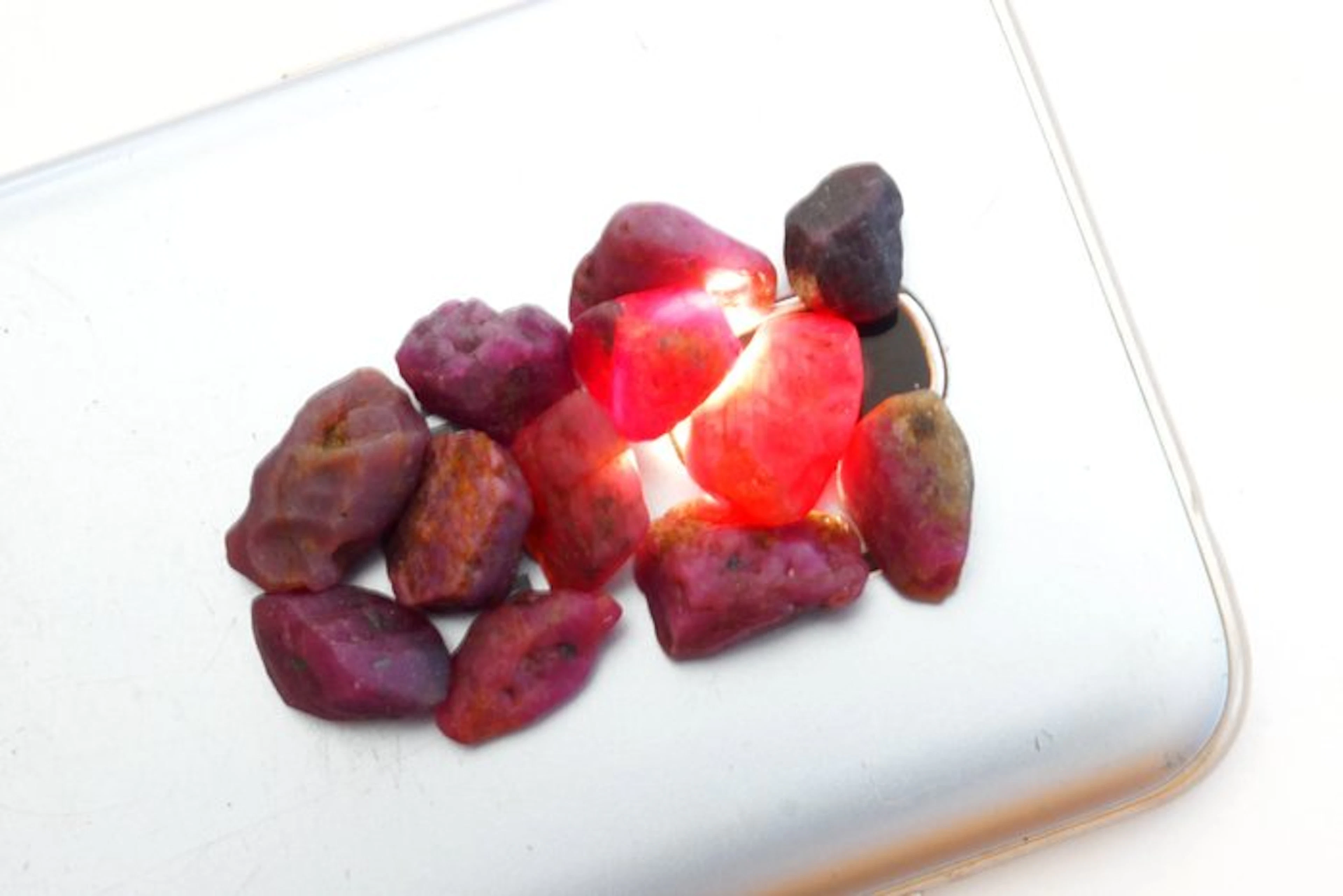 Ruby 101 carats of rough, untreated ruby crystals.- 20.23 g - (12)