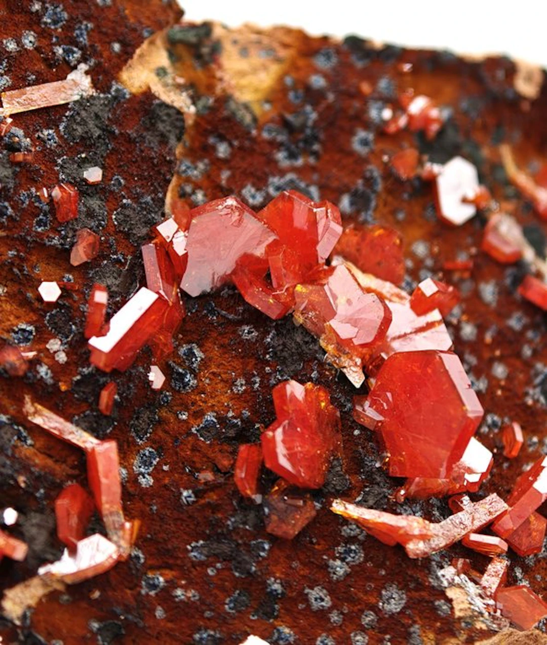 Blood-Red Vanadinite Storm on Goethite Crystals on matrix...