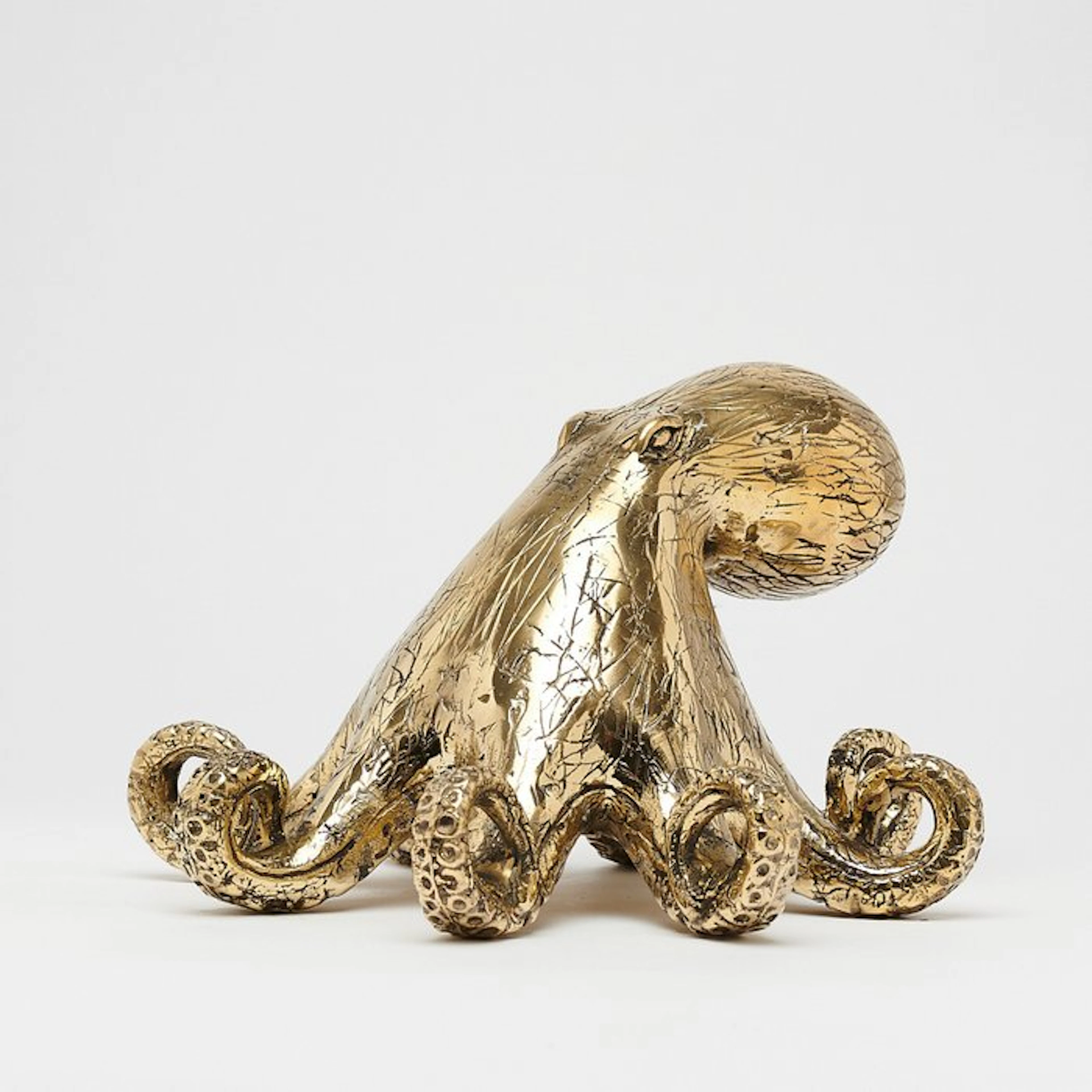 Statue, No Reserve Price - A Octopus Sculpture in...