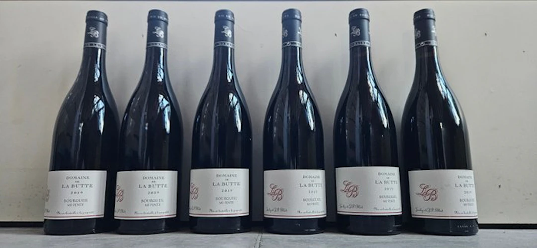 2019 Domaine de la Butte "Mi Pente" - Bourgueil - 6 Bottle (0.75L)