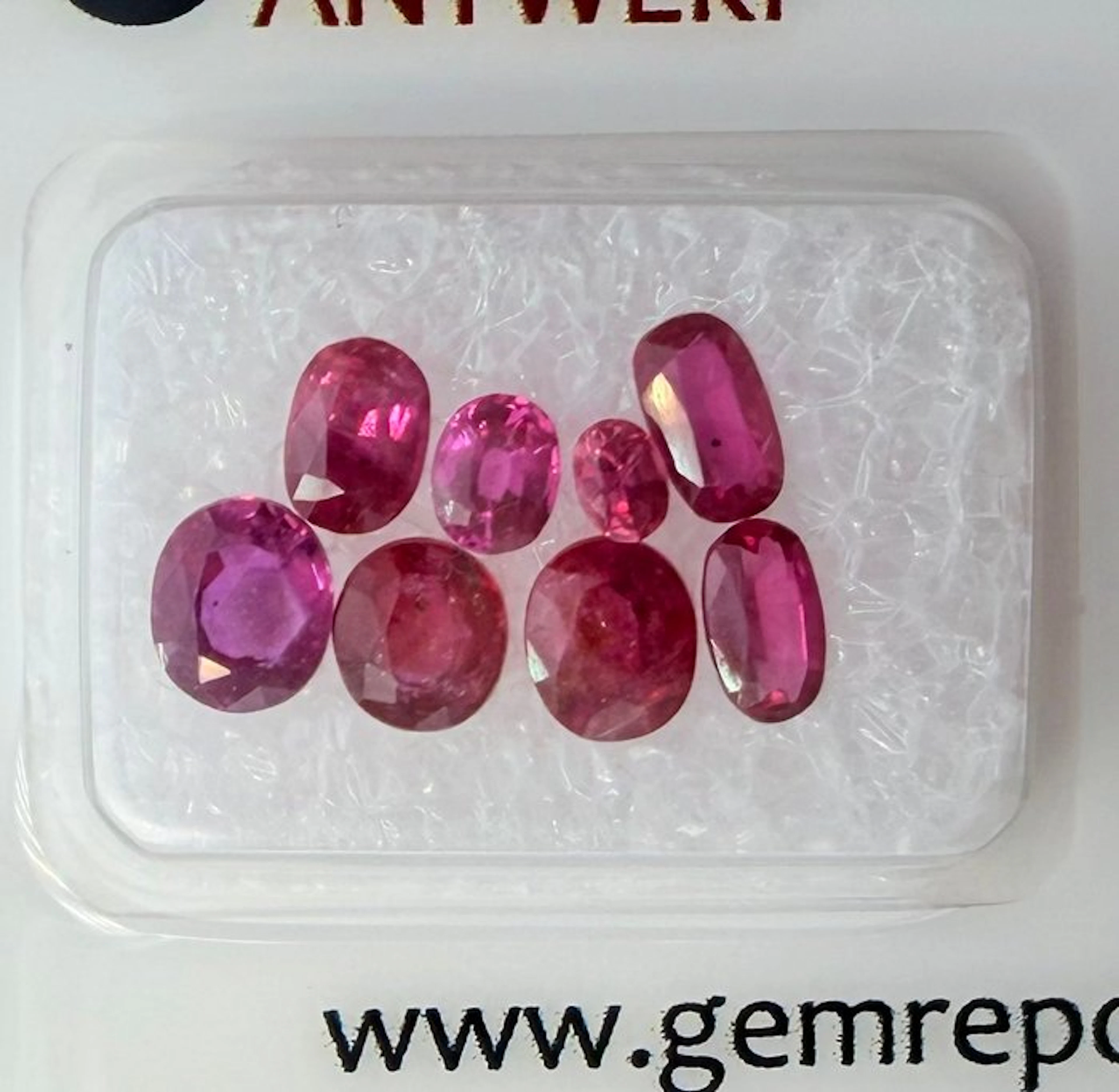 No reserve price Sapphire, Ruby - 3.02 ct - Gem Report Antwerp (GRA)