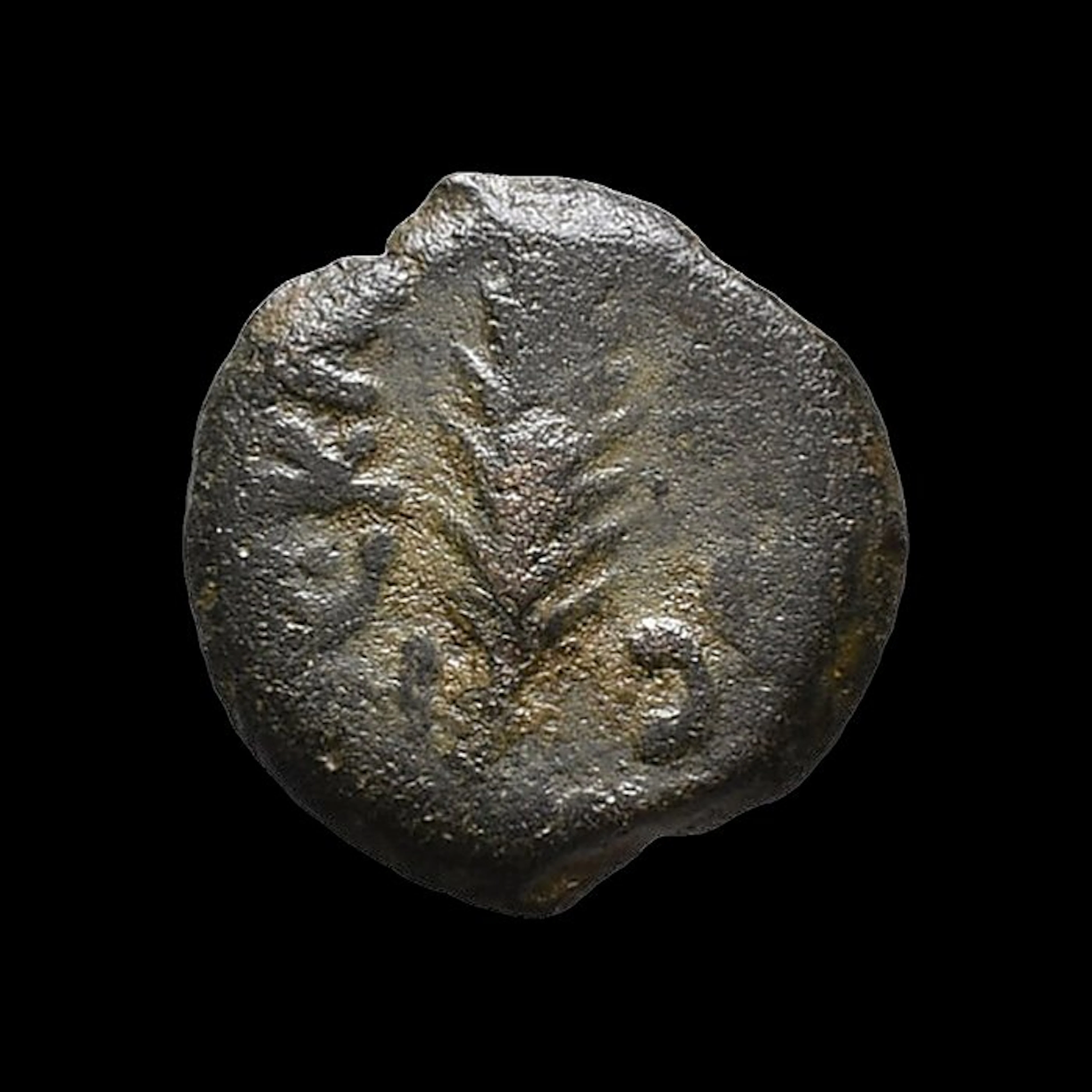 Judaea, Roman Governors. Porcius Festus (59-62 AD). Prutah (No reserve price)