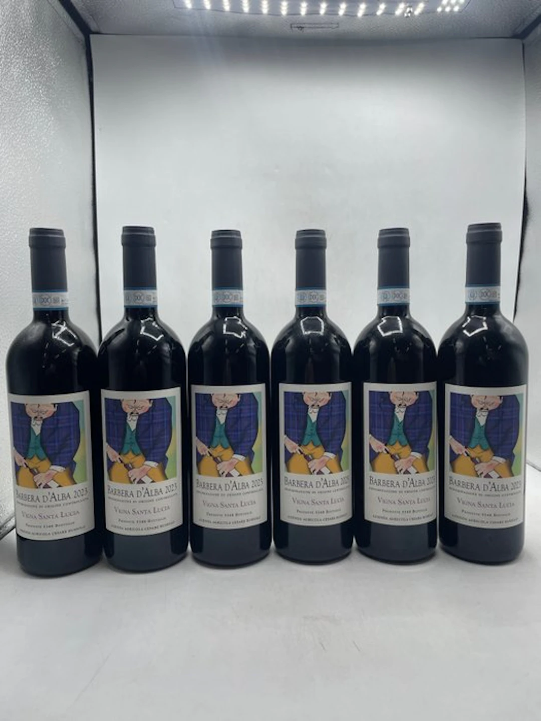 2023 Cesare Bussolo Barbera D'Alba Vigna Santa Lucia...