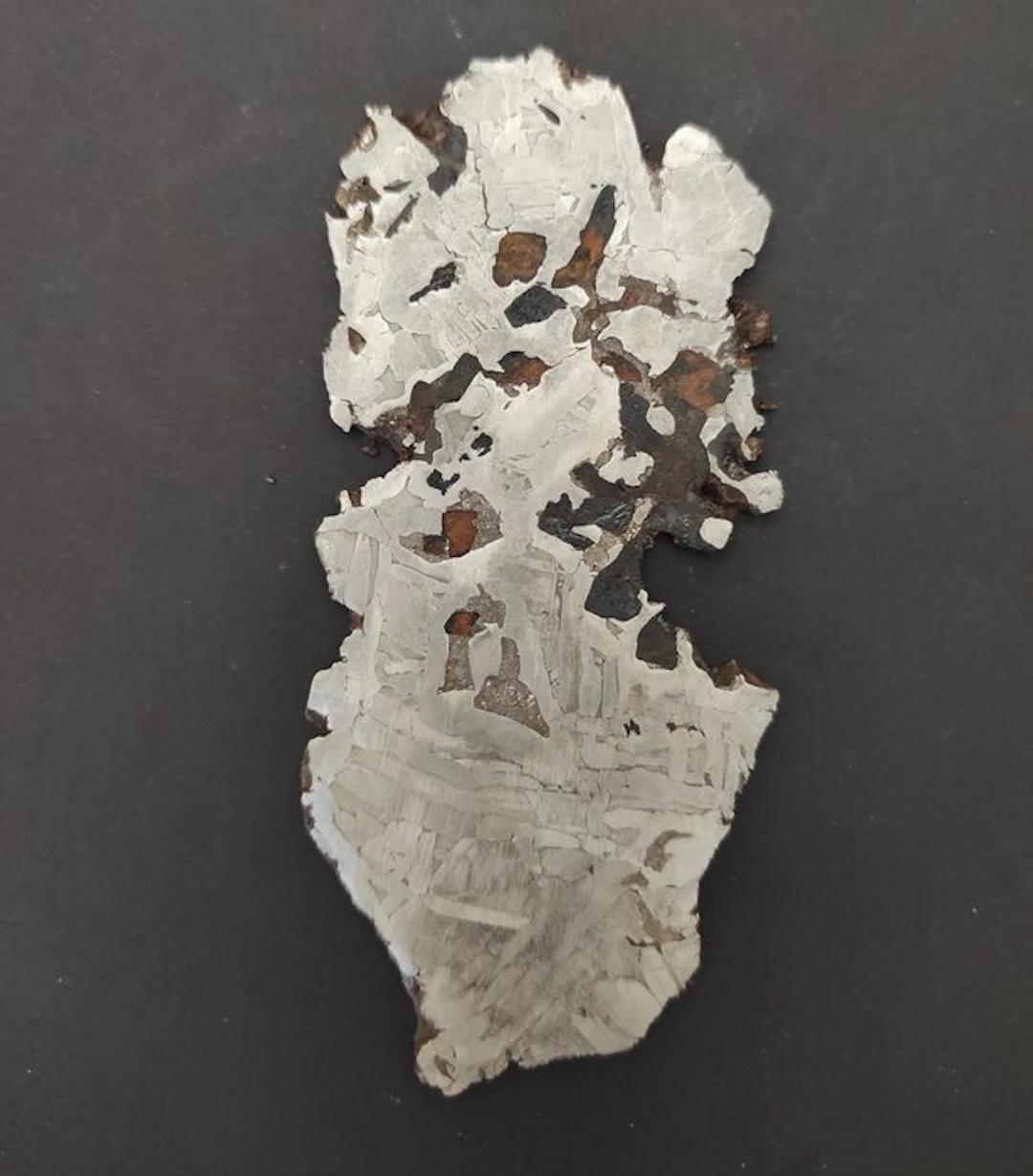 Seymchan meteorite Slice - Height: 0.03 cm - Width: 7 cm- 58 g - (1)