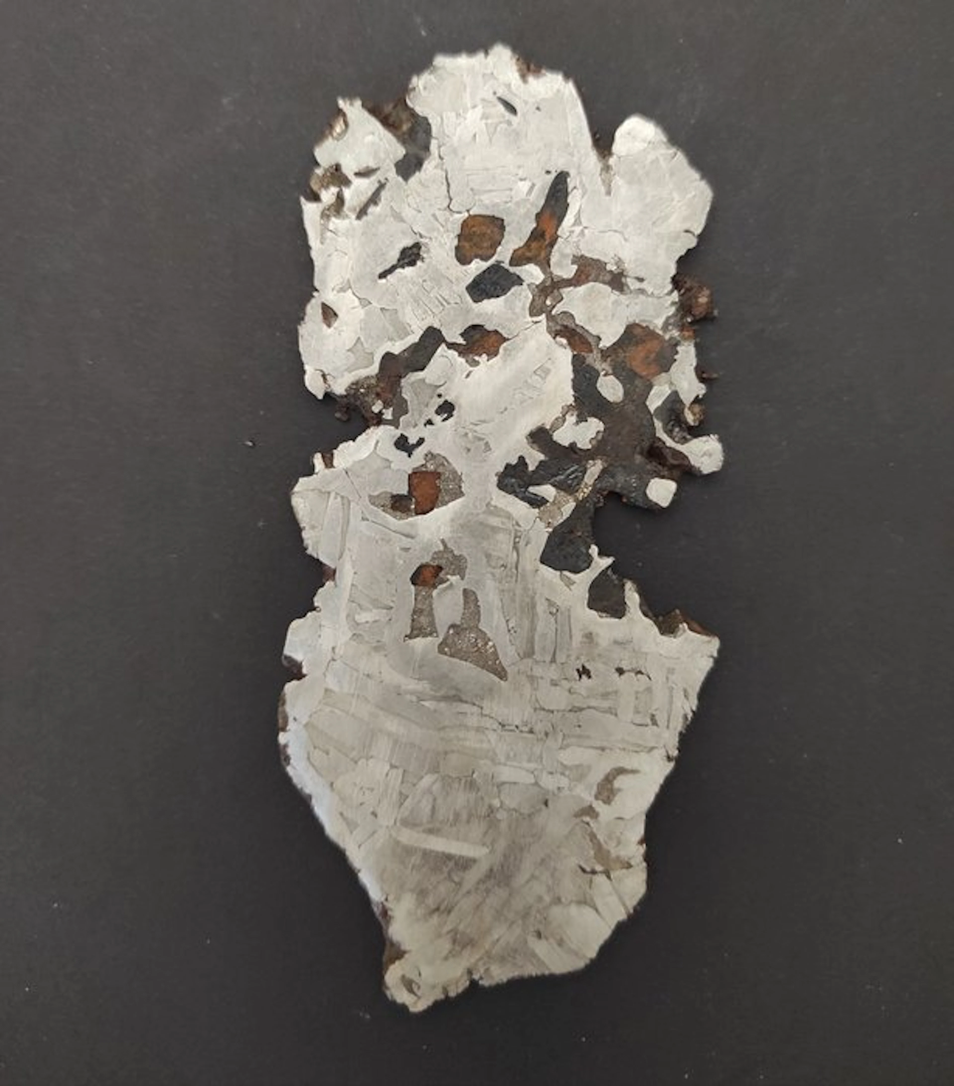 Seymchan meteorite Slice - Height: 0.03 cm - Width: 7 cm- 58 g - (1)