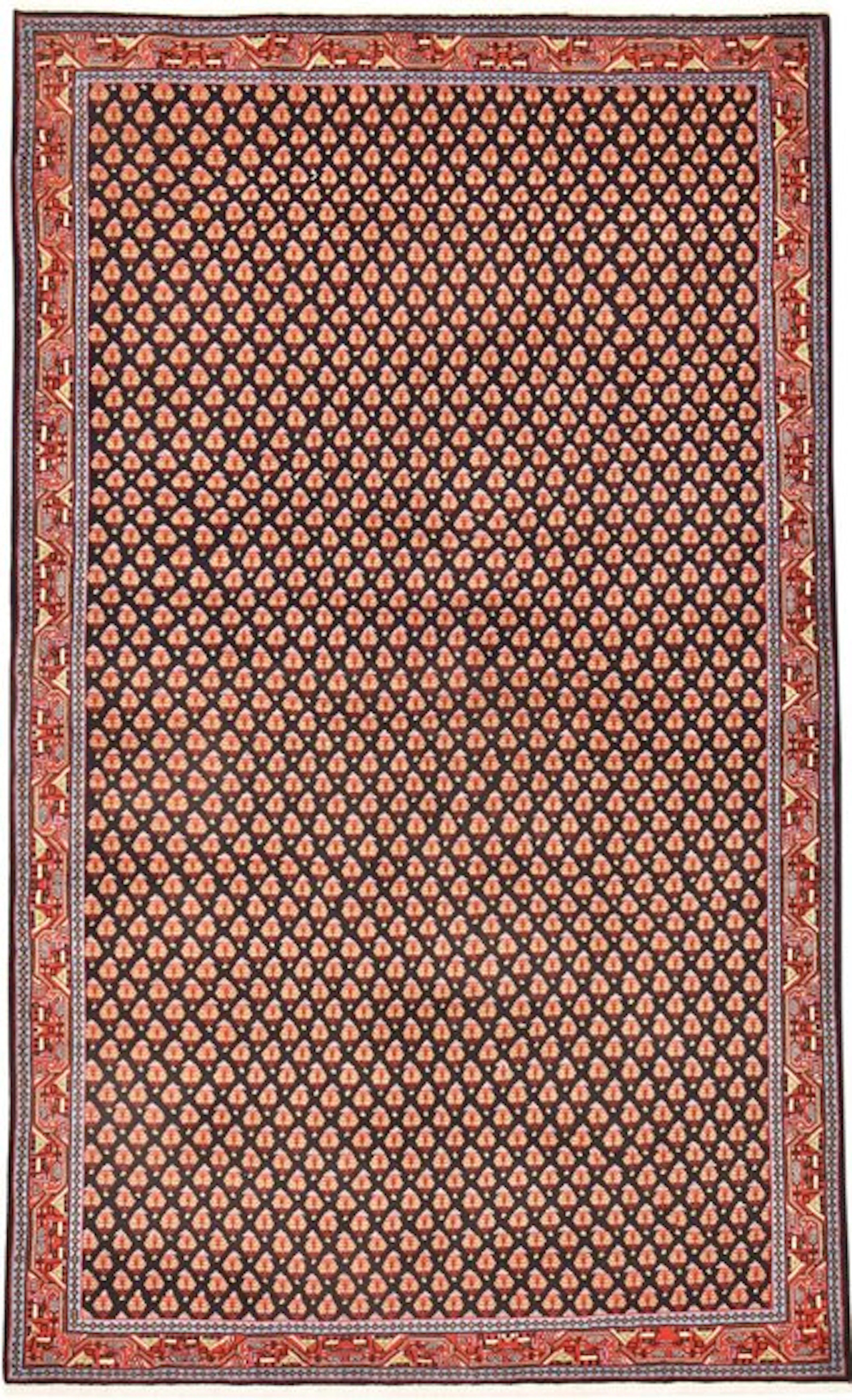 Sarough Mir - Rug - 249 cm - 151 cm