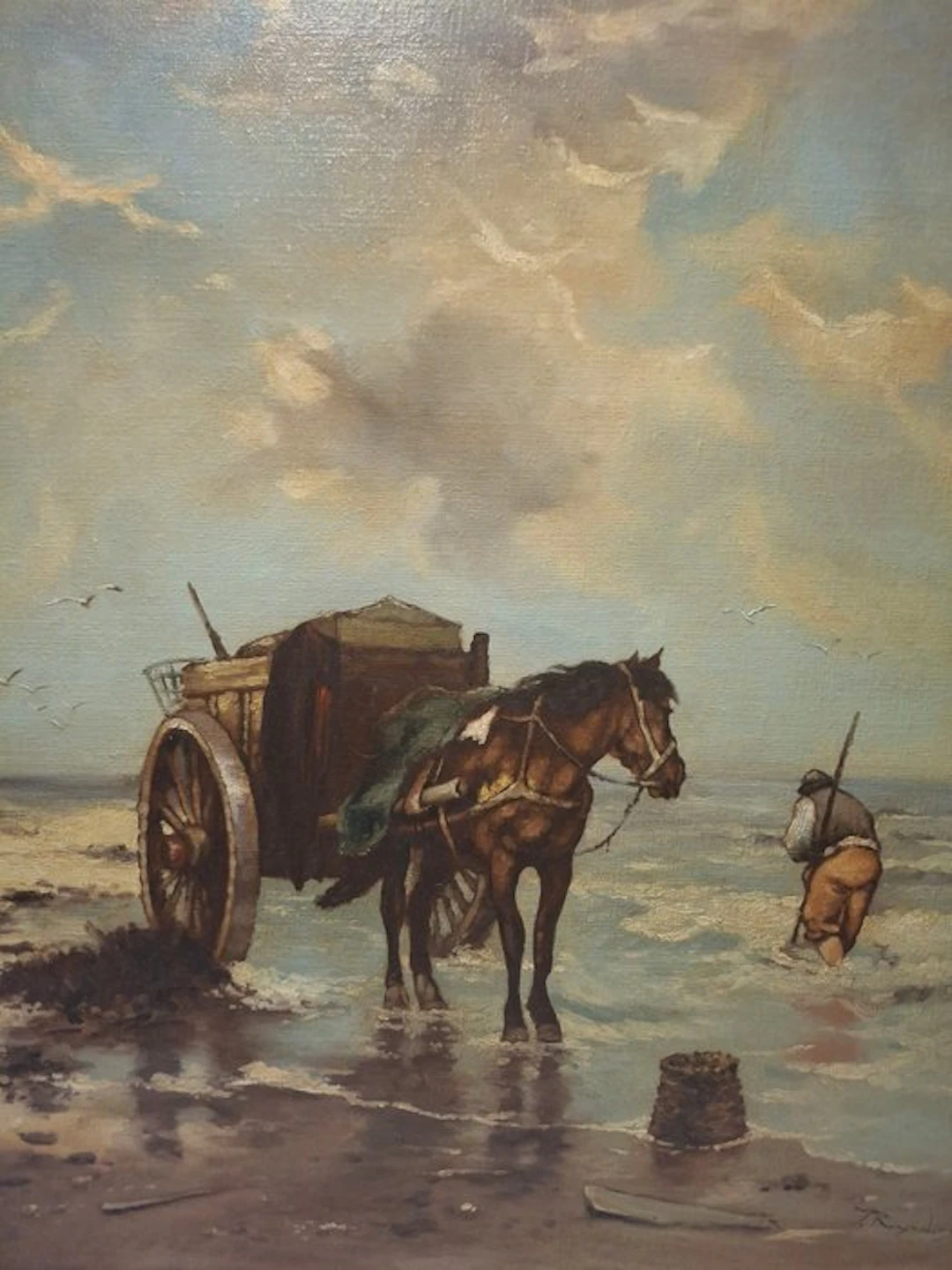 J. Reynders (XX - Garnaalvisser
